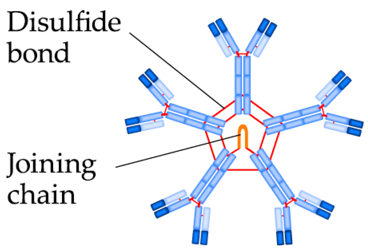 Biomedicines 09 00166 g003 Biomedicines 09 00166 g003
