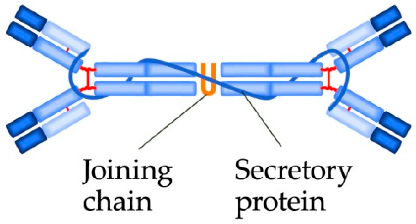 Biomedicines 09 00166 g004 Biomedicines 09 00166 g004