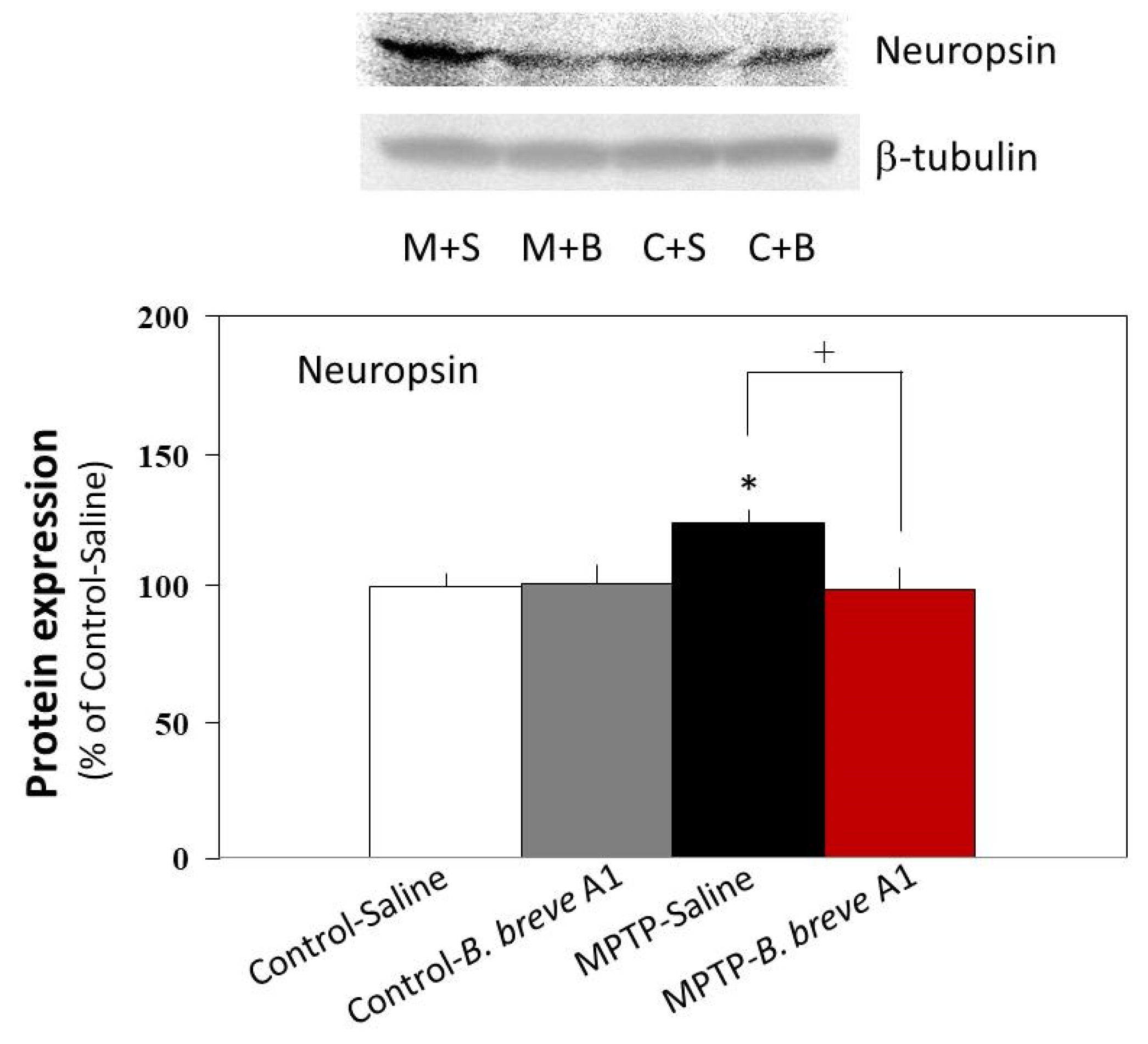 Biomedicines 09 00167 g008