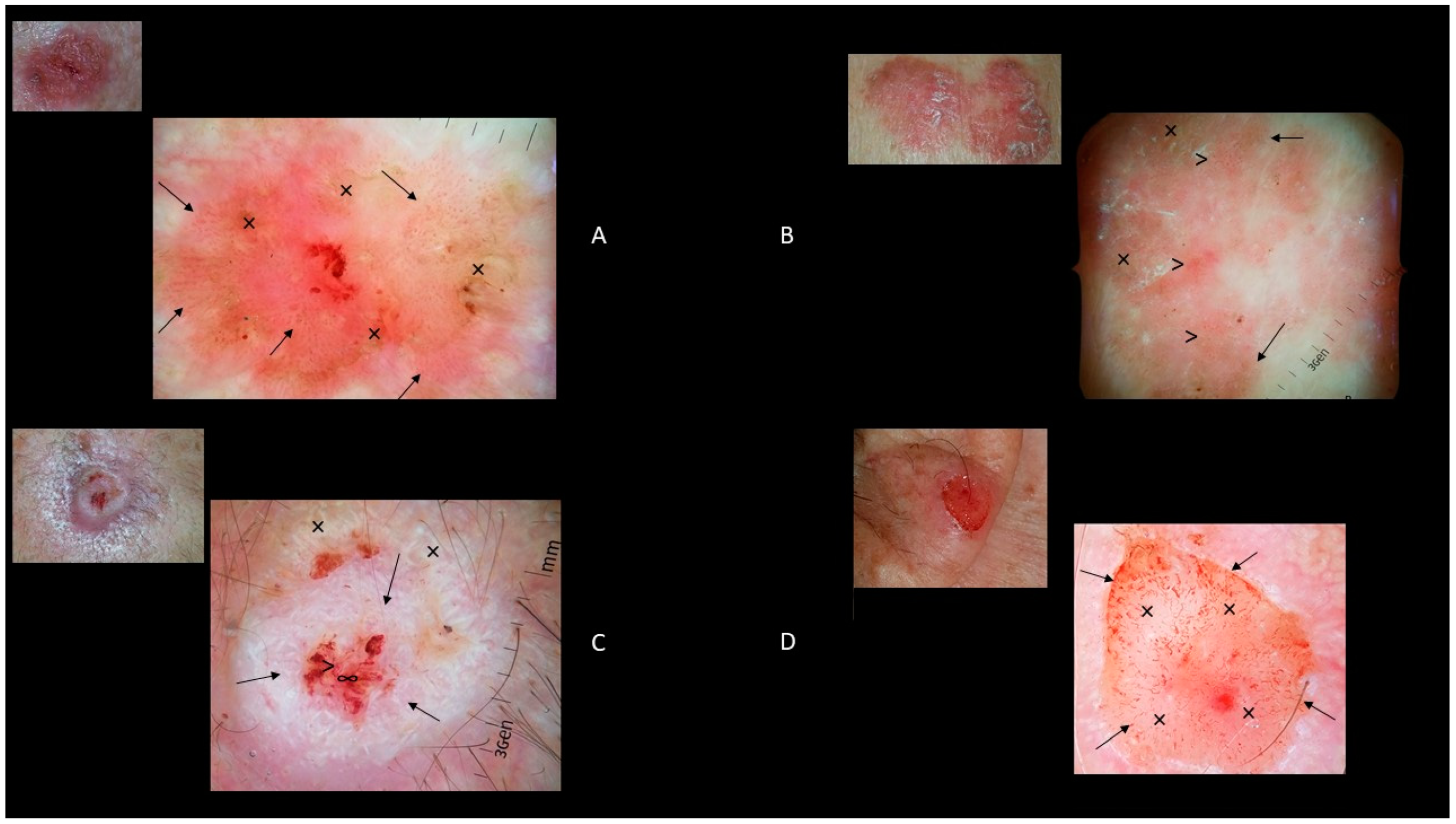 Biomedicines 09 00171 g004
