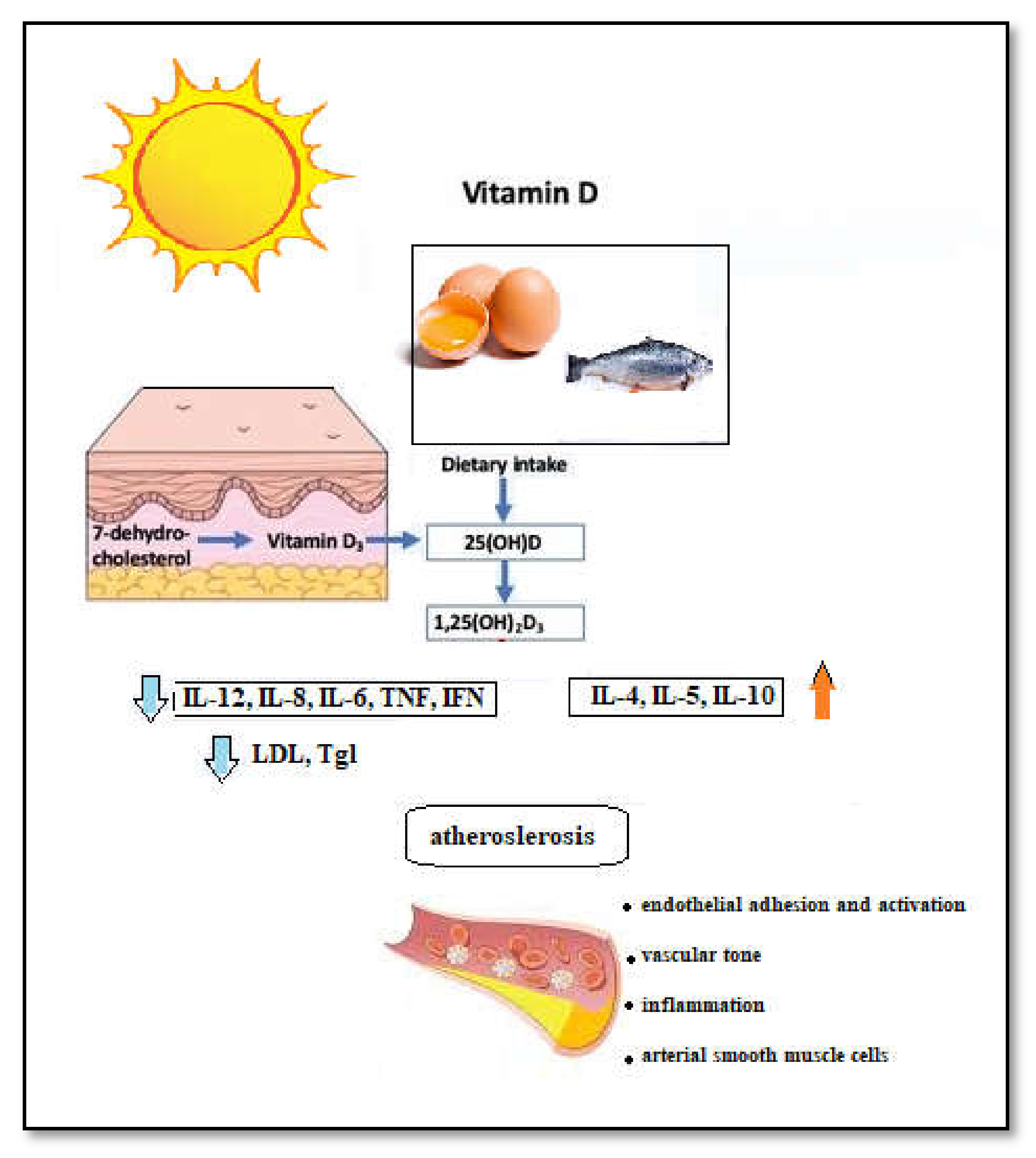 Biomedicines 09 00172 g003