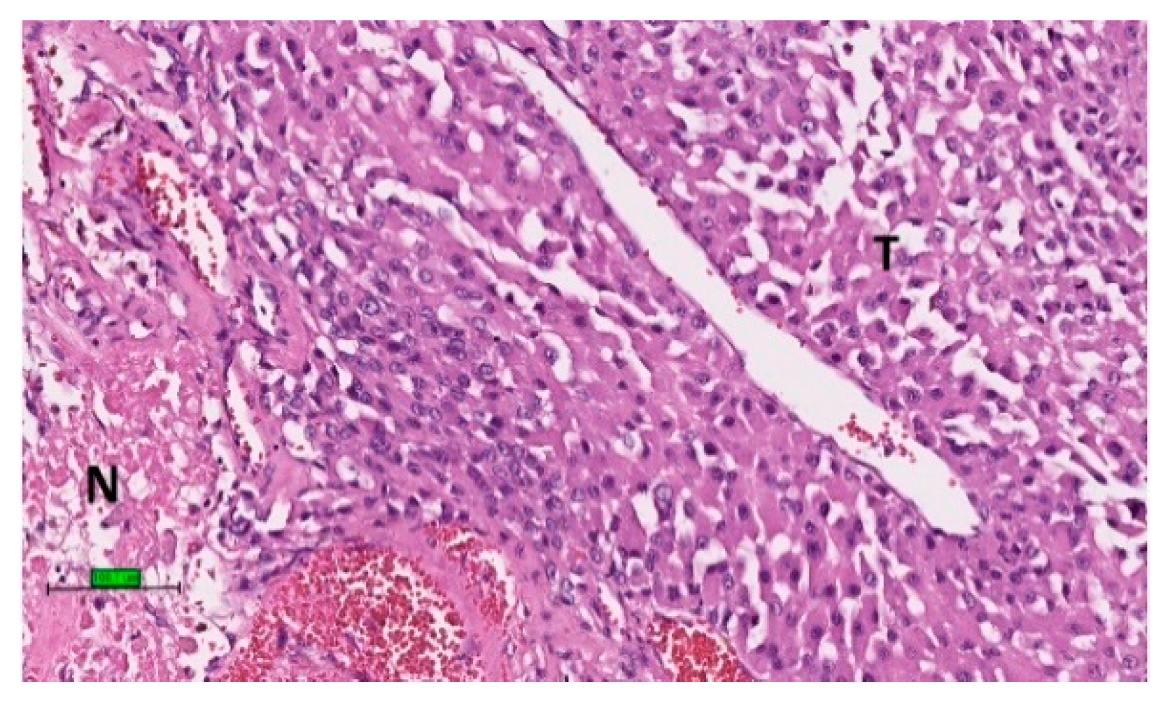 Biomedicines 09 00175 g006