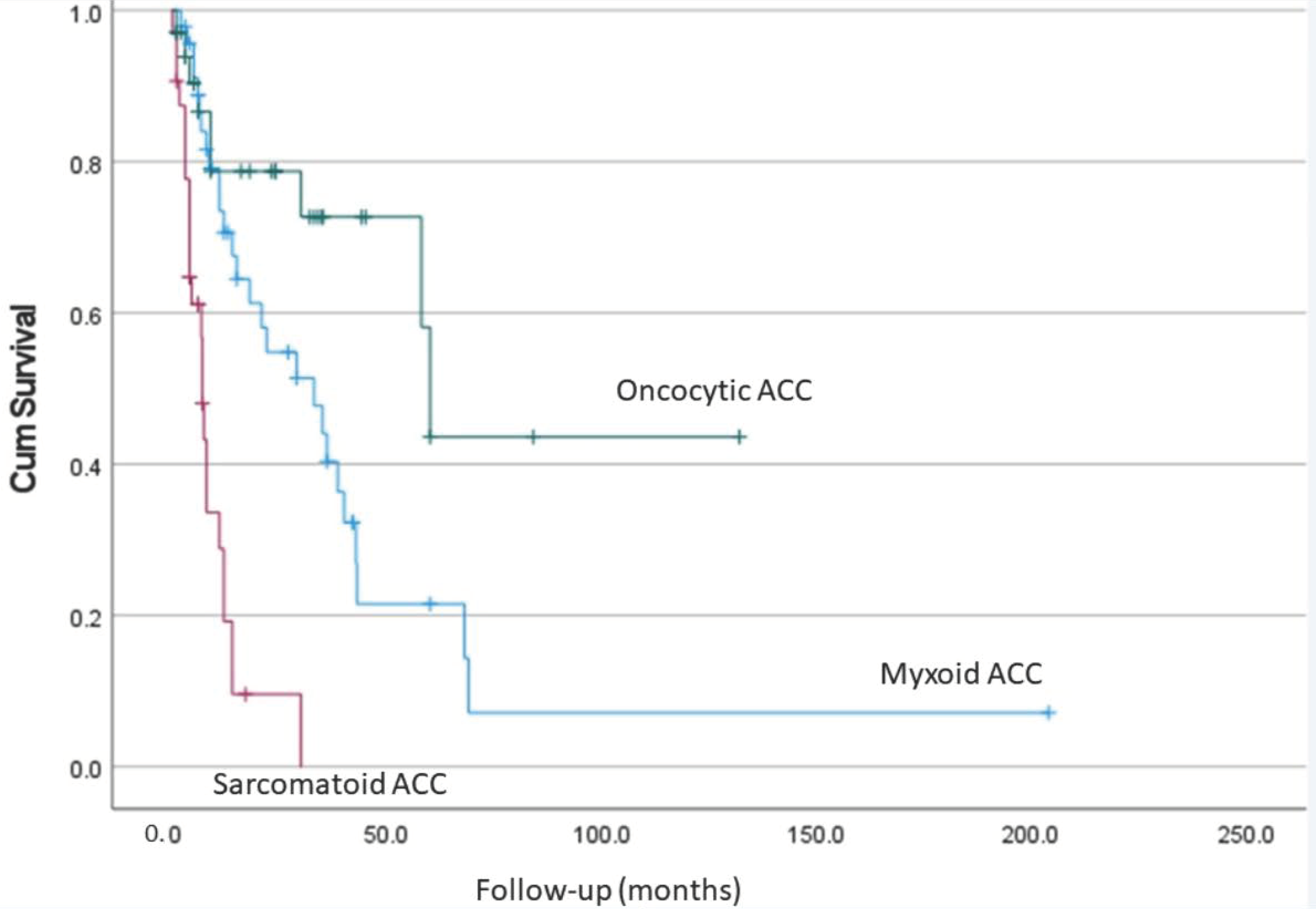 Biomedicines 09 00175 g007