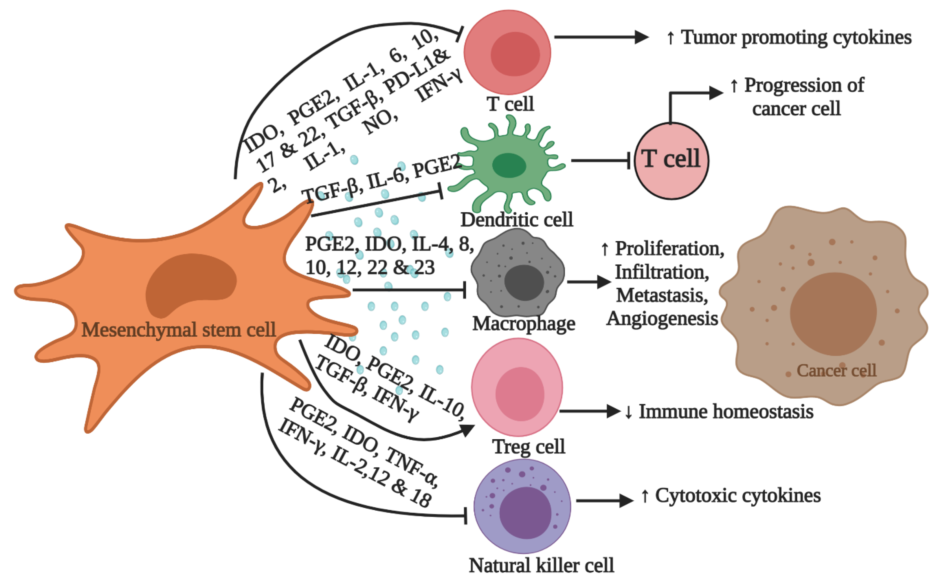 Biomedicines 09 00178 g001 Biomedicines 09 00178 g001