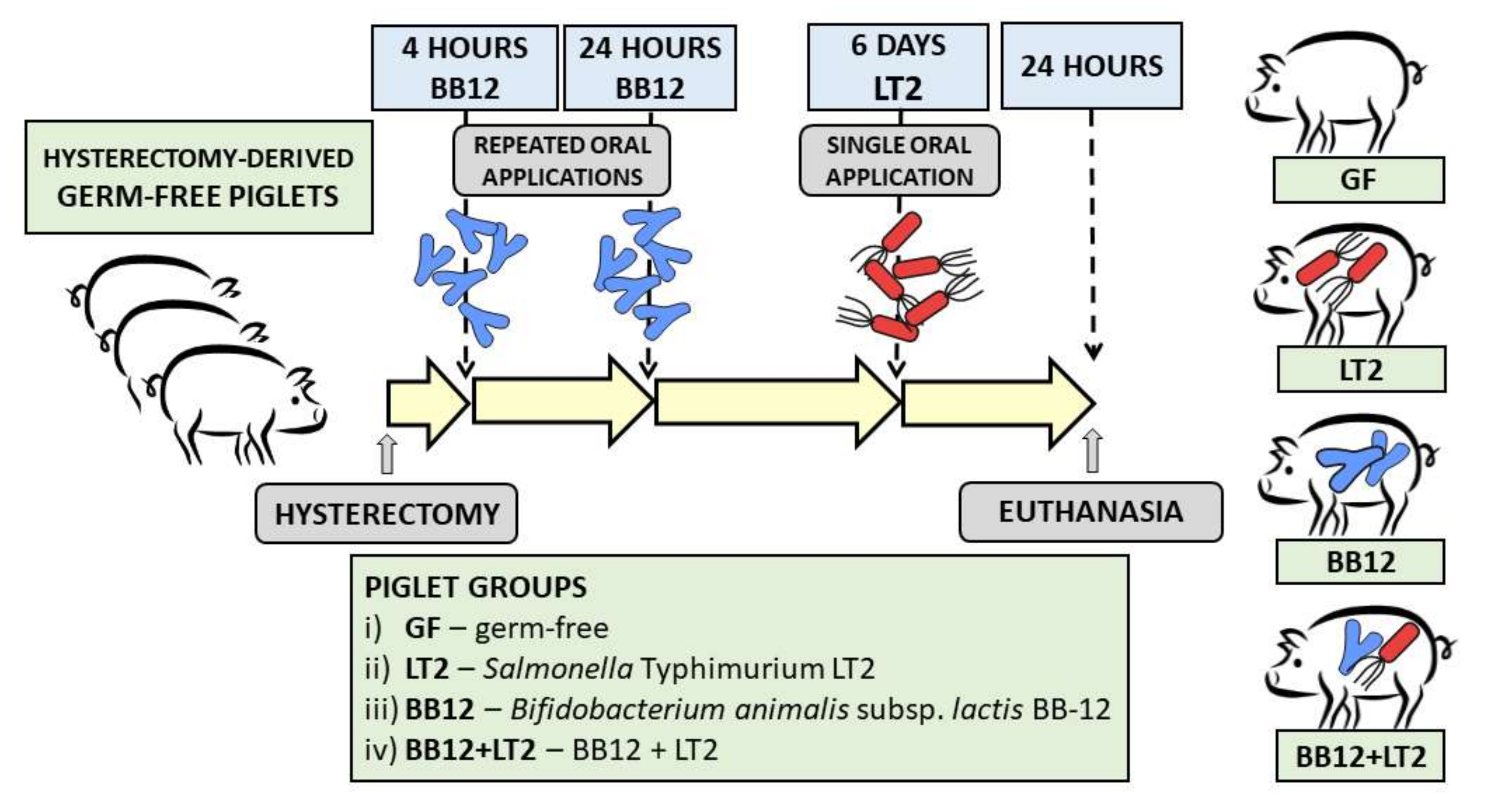 Biomedicines 09 00183 g001