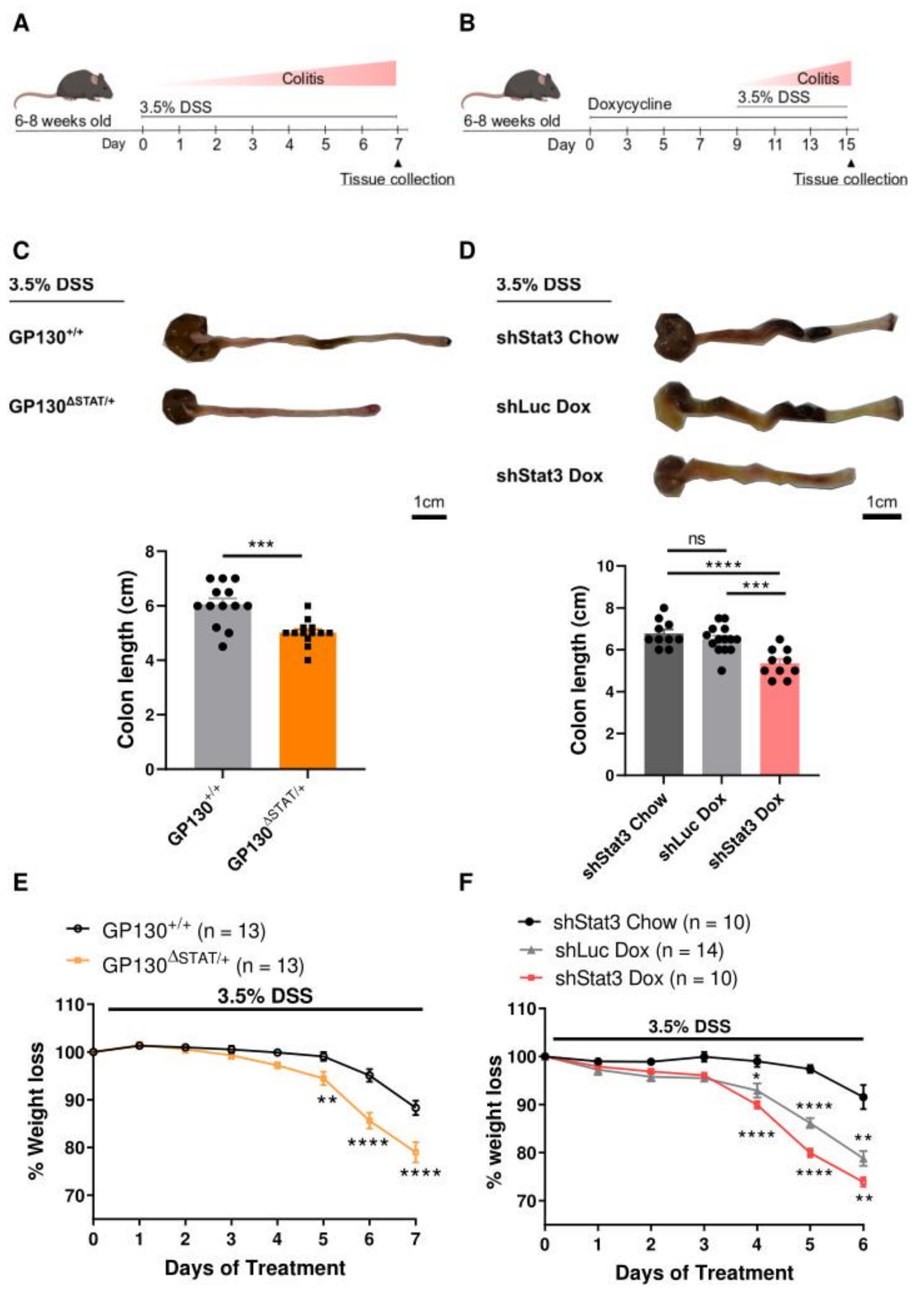 Biomedicines 09 00187 g001