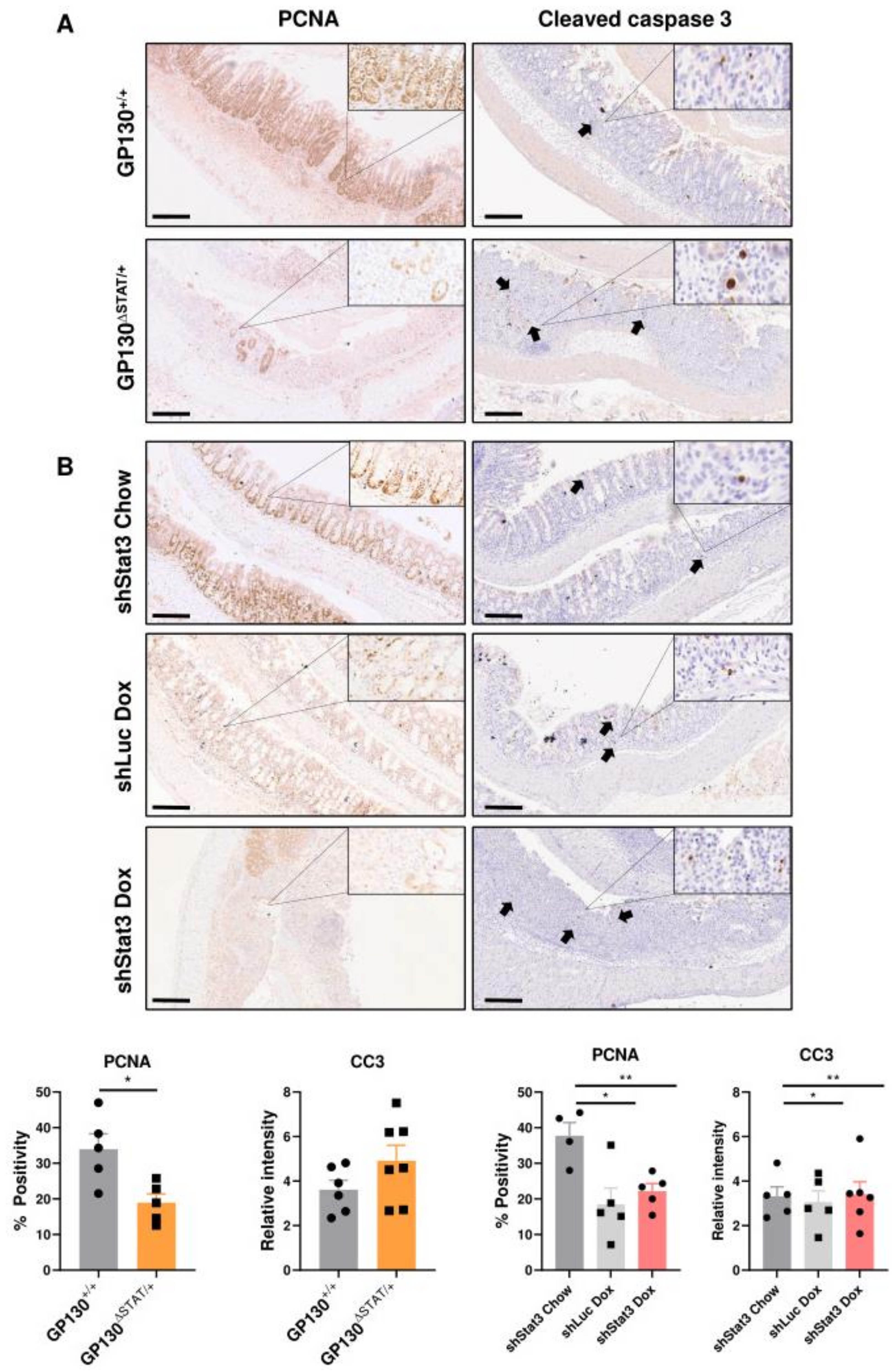 Biomedicines 09 00187 g003
