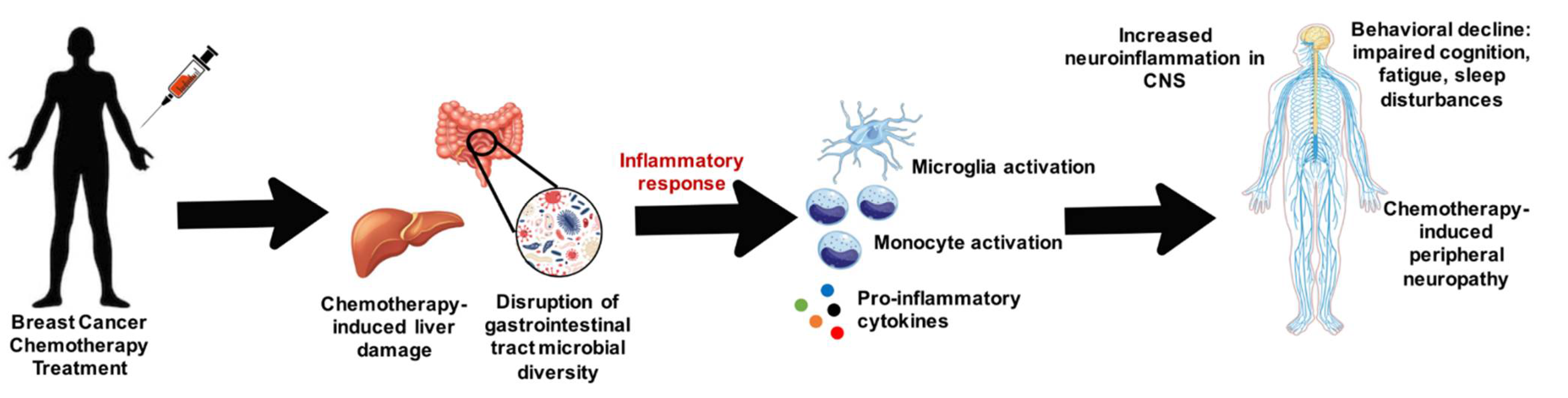 Biomedicines 09 00189 g001