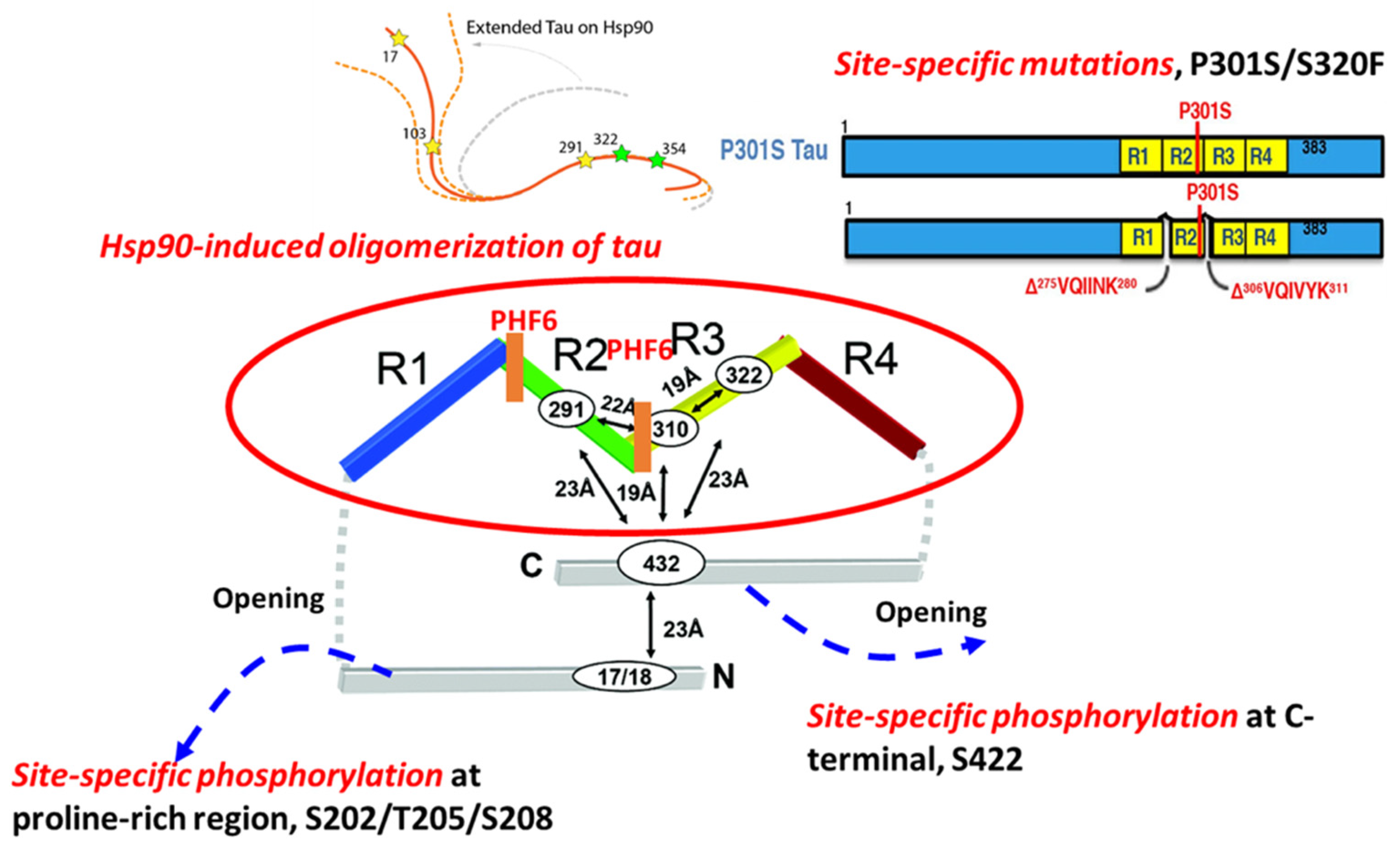 Biomedicines 09 00190 g001