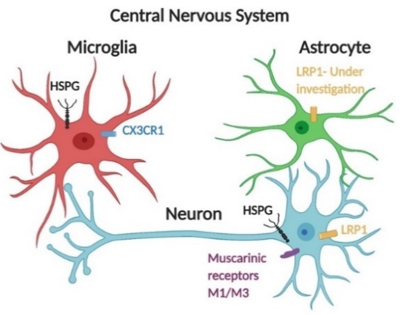 Biomedicines 09 00190 g002