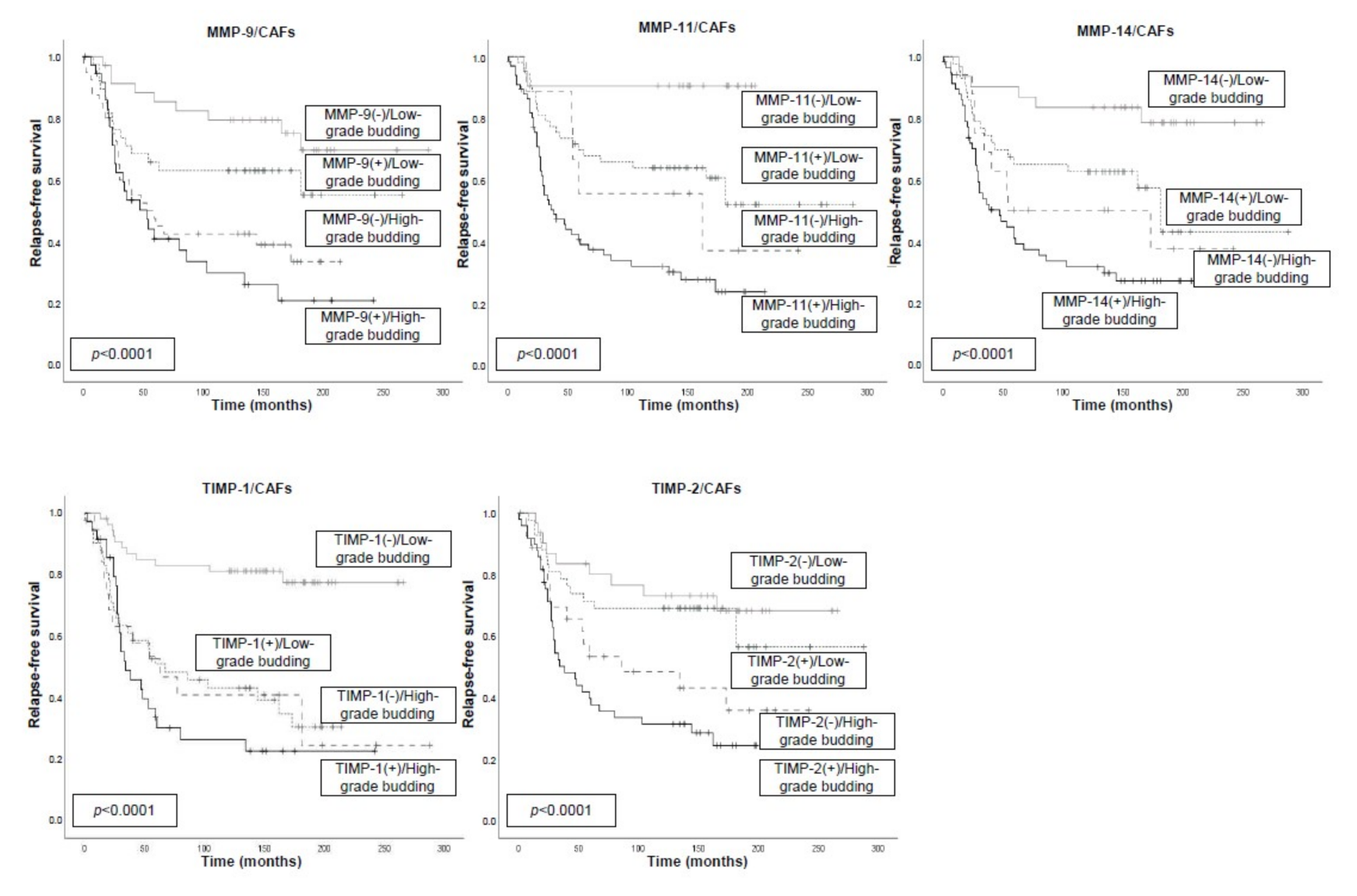 Biomedicines 09 00196 g006