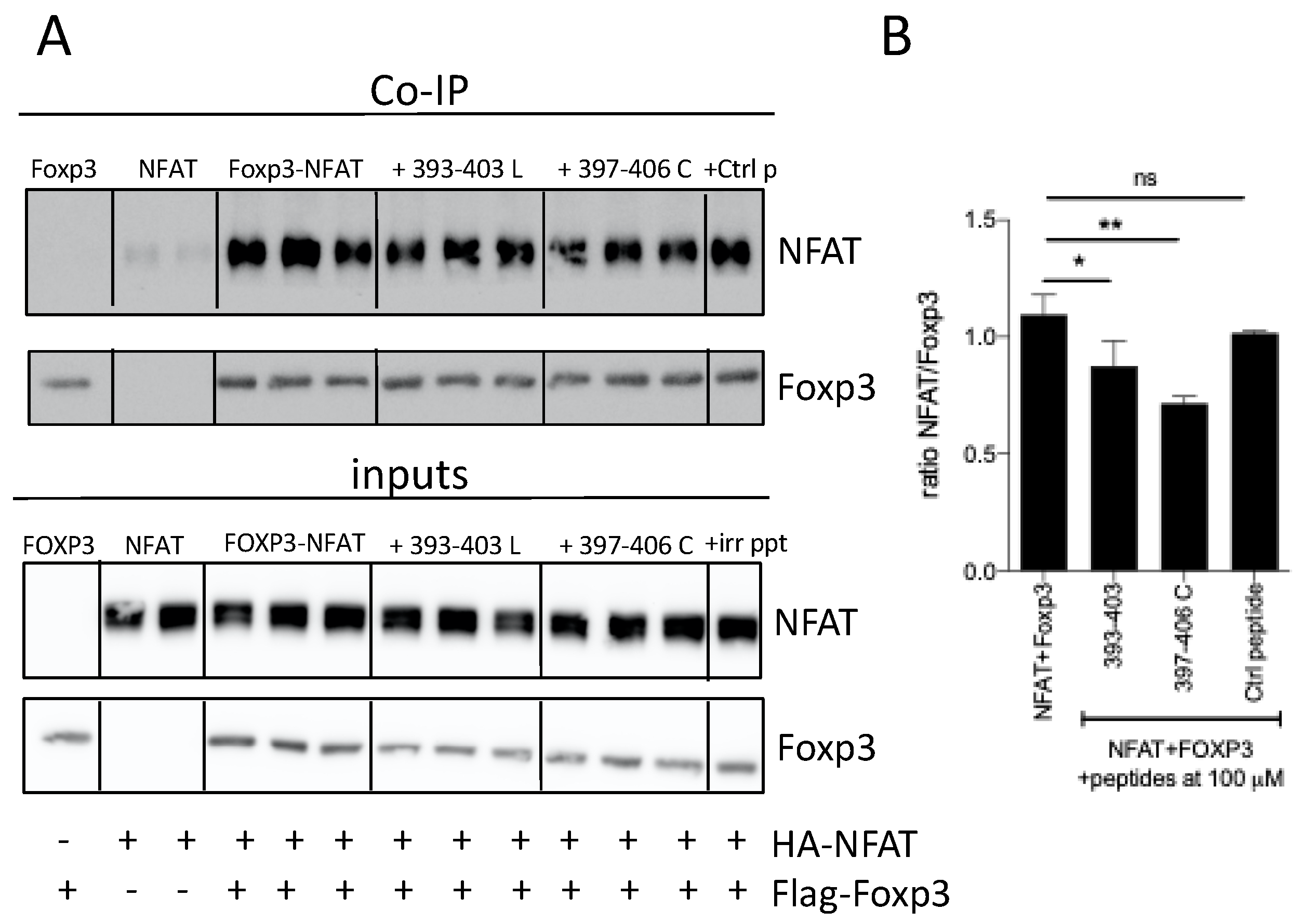 Biomedicines 09 00197 g007