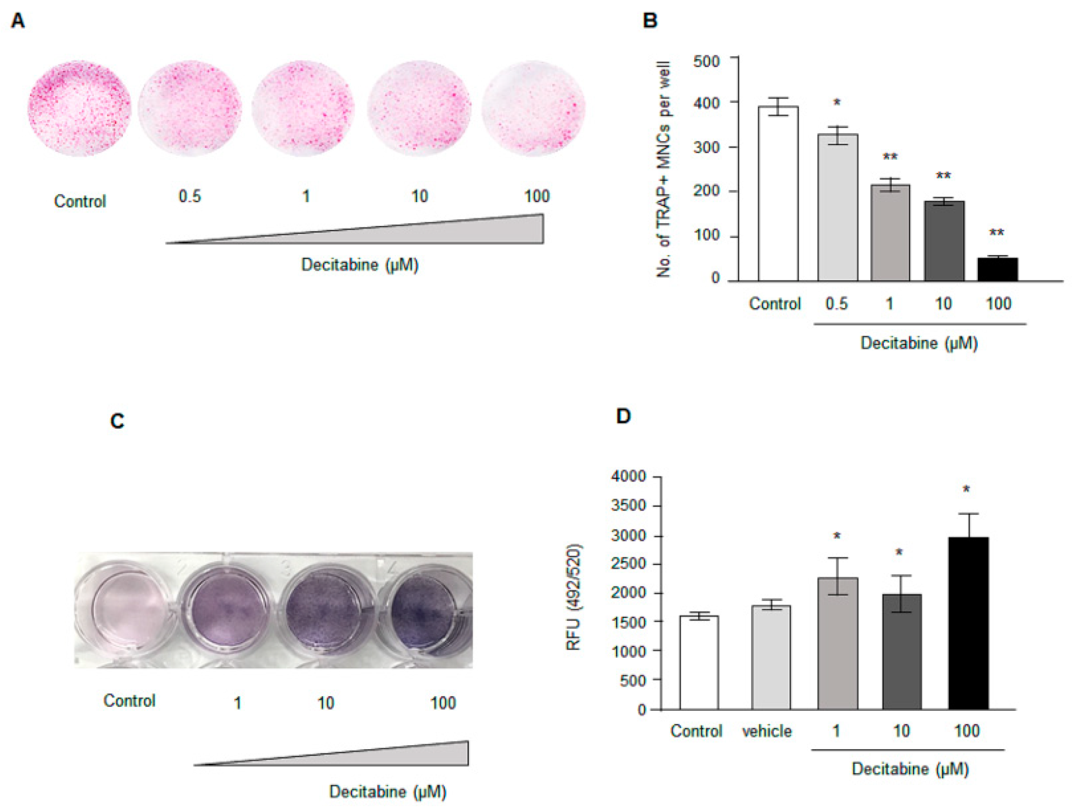 Biomedicines 09 00199 g002