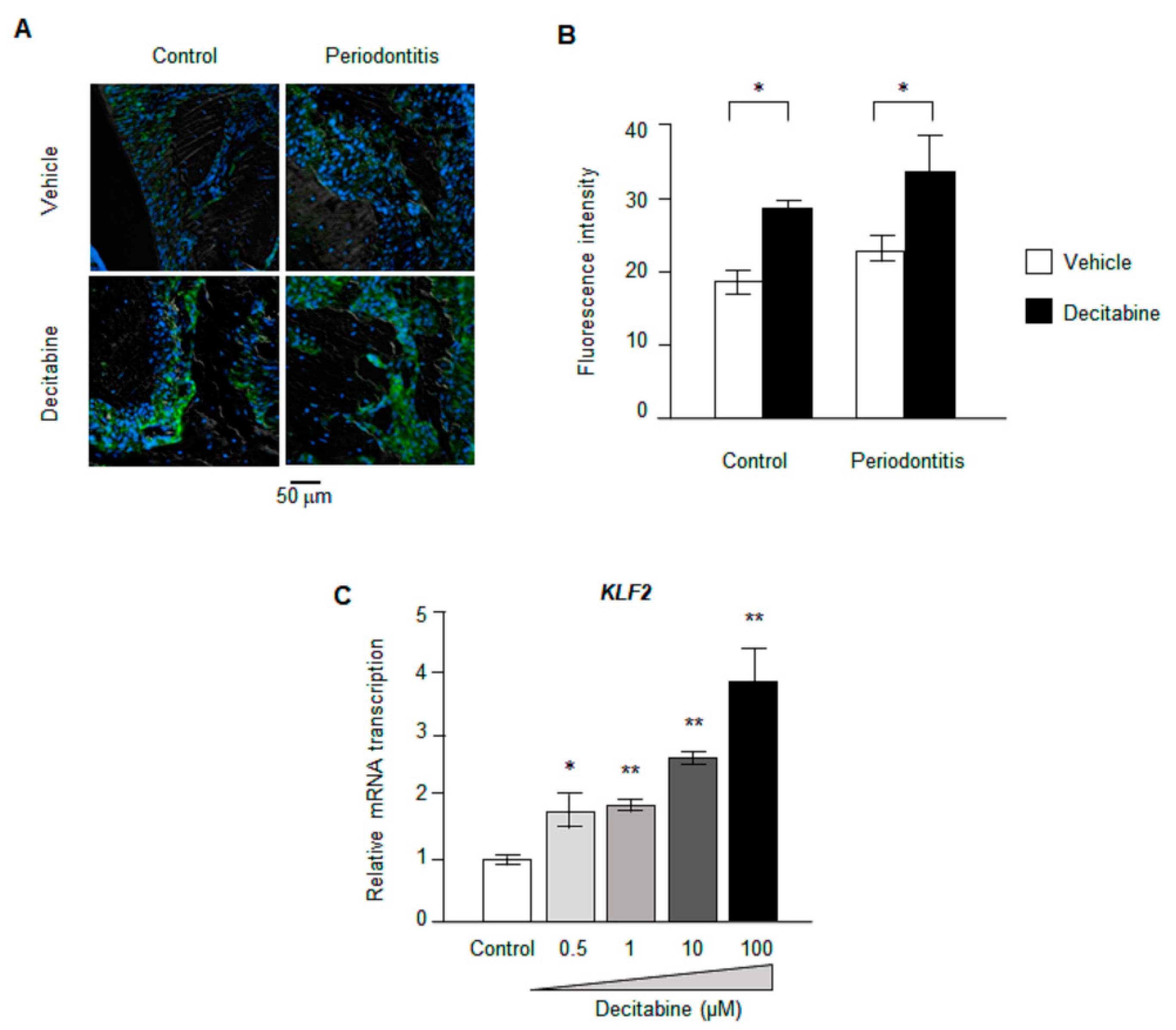 Biomedicines 09 00199 g004