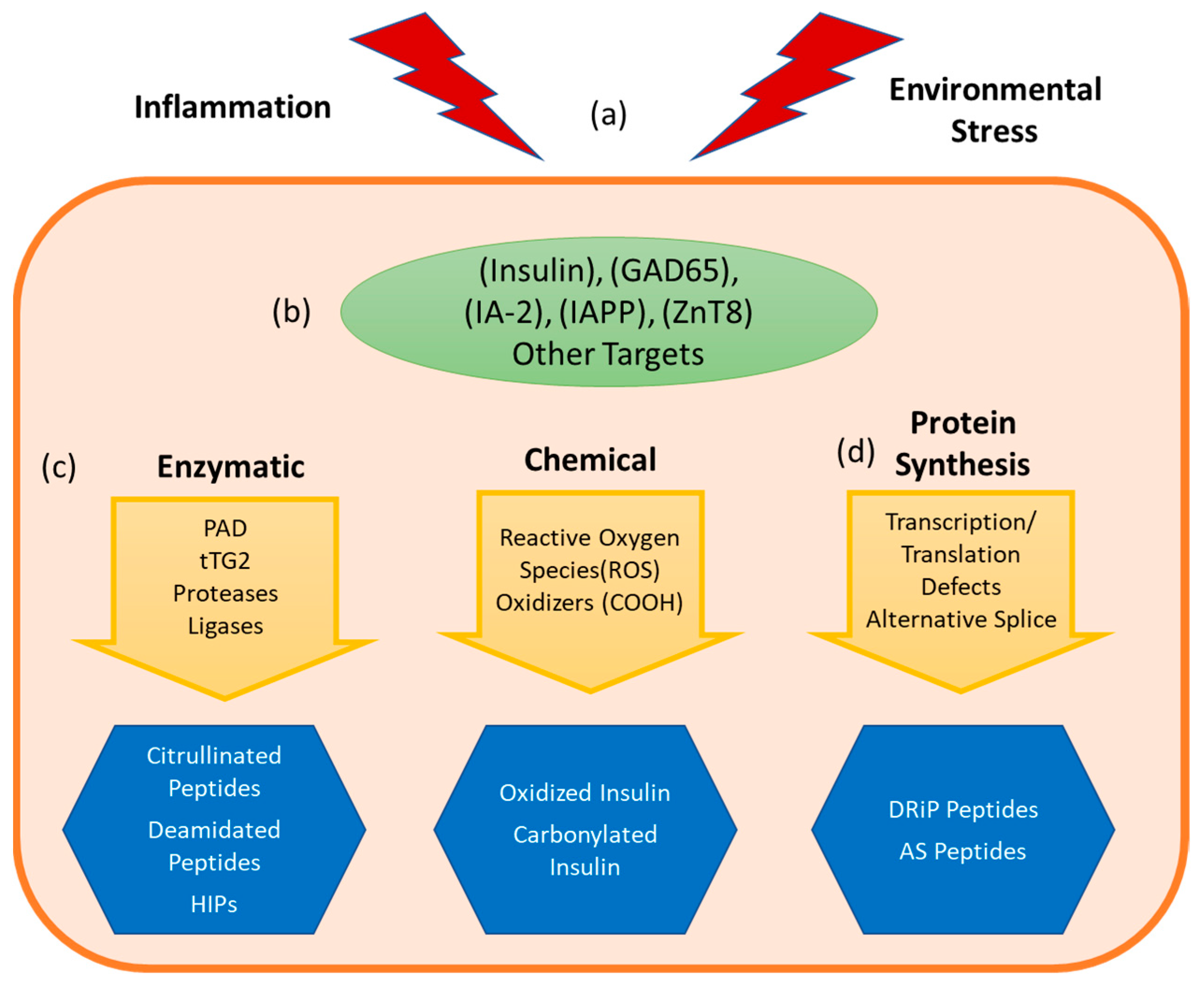 Biomedicines 09 00202 g002