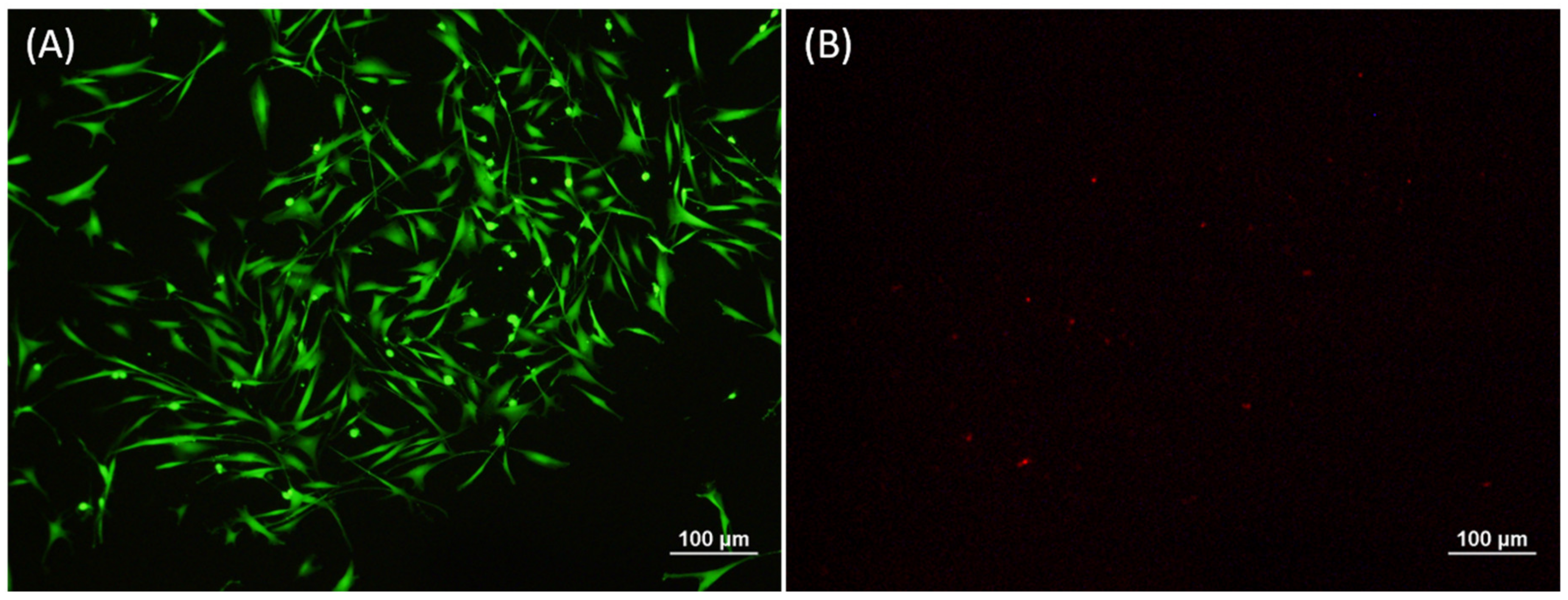 Biomedicines 09 00203 g003