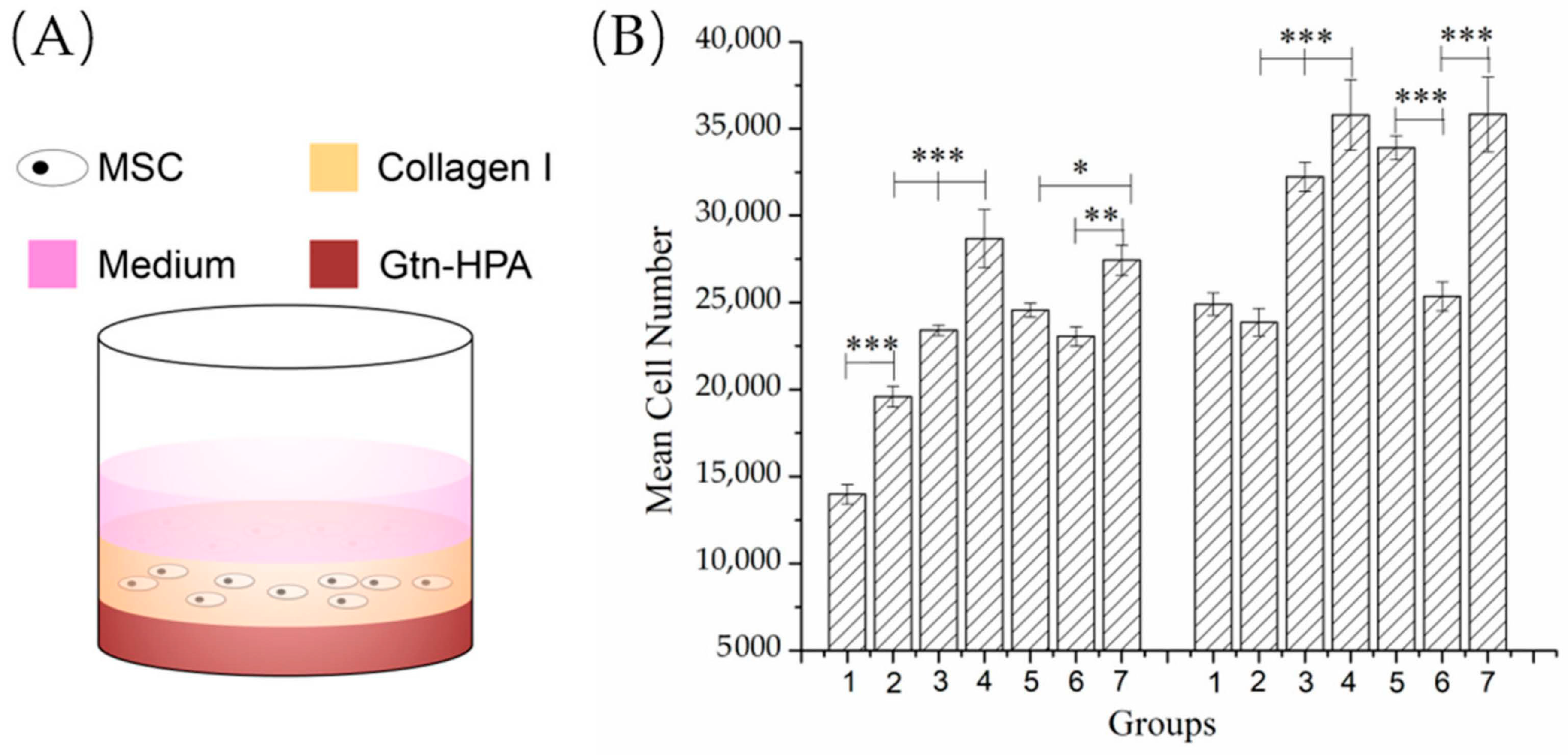 Biomedicines 09 00203 g006
