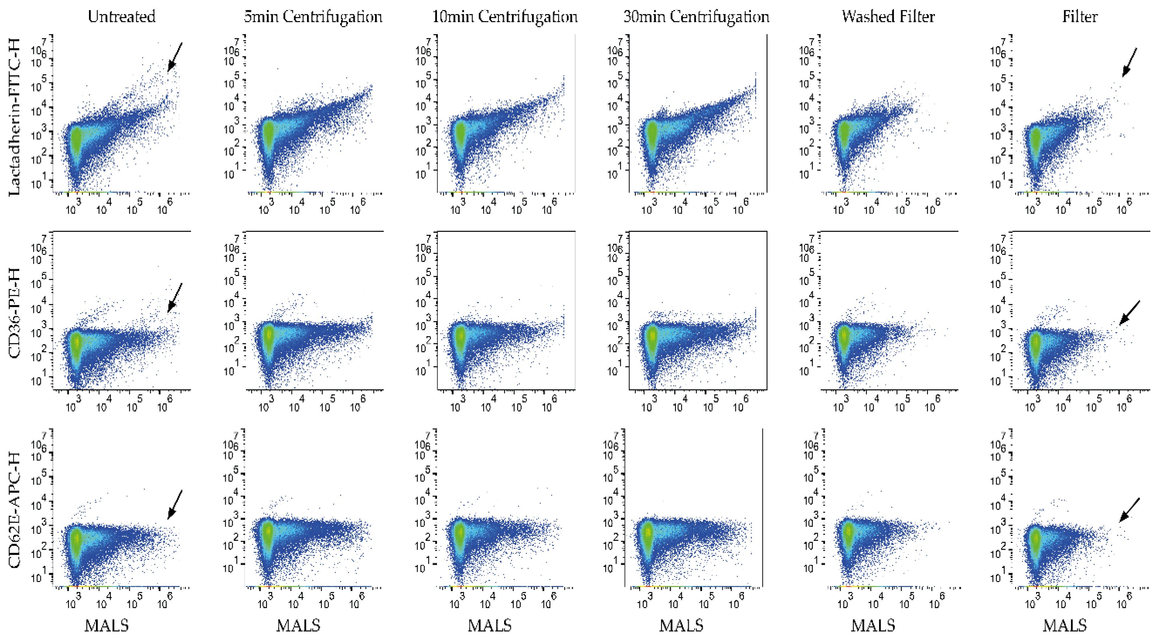 Biomedicines 09 00206 g002