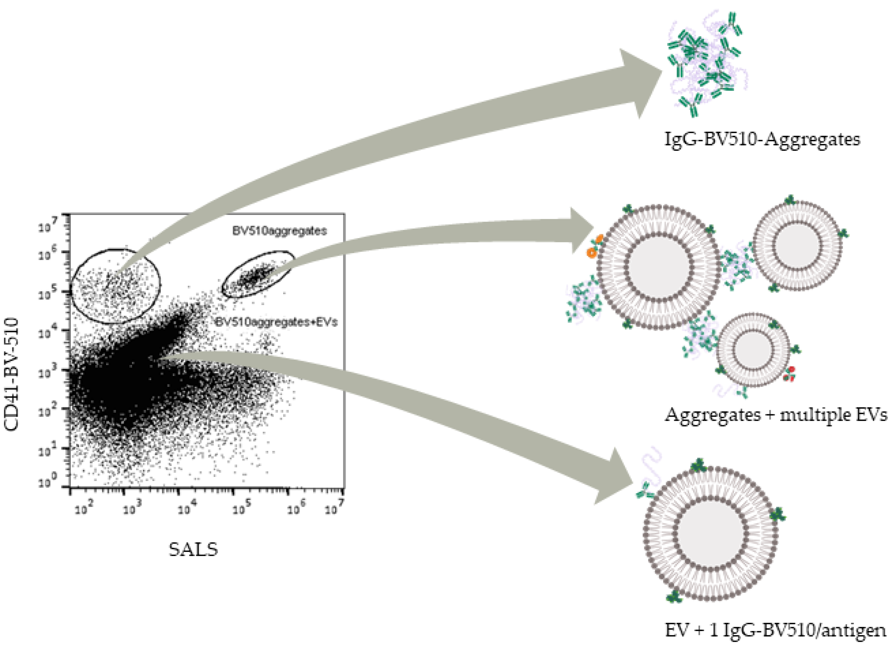 Biomedicines 09 00206 g005