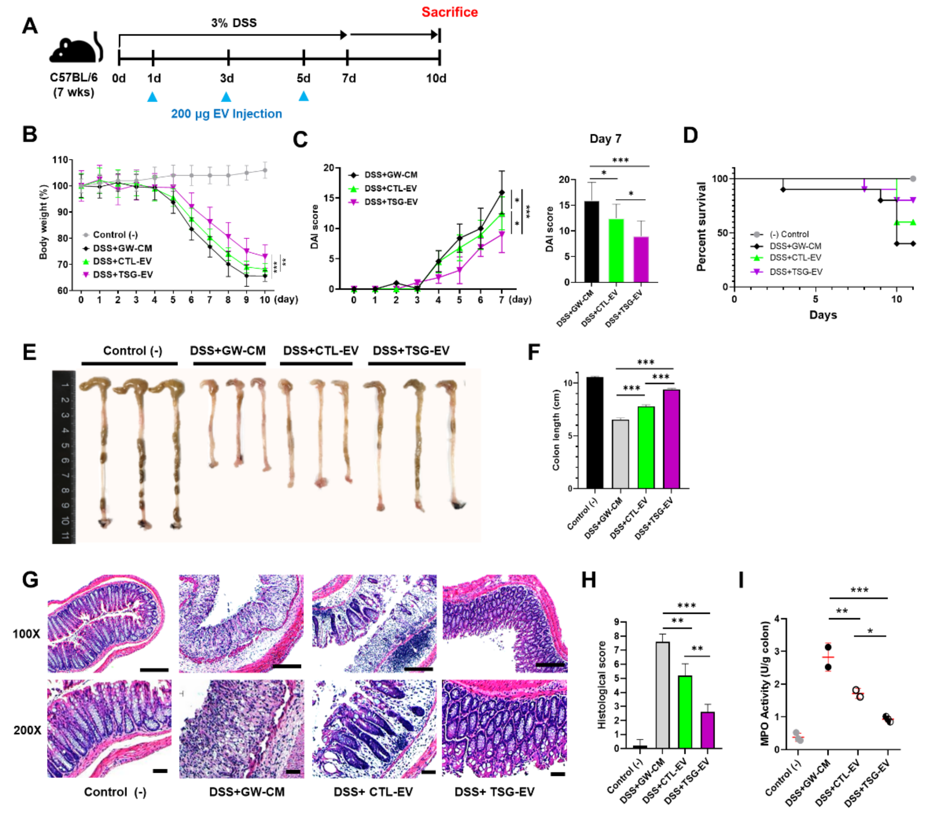 Biomedicines 09 00209 g004