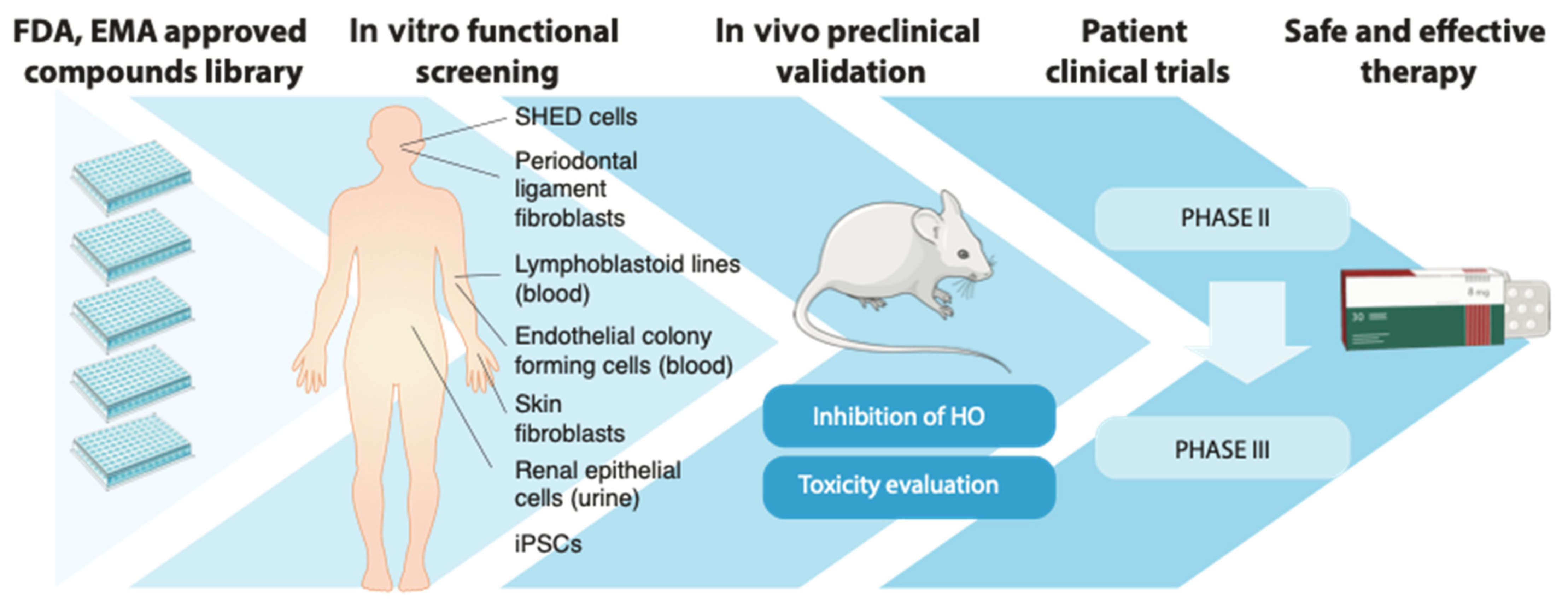 Biomedicines 09 00213 g001