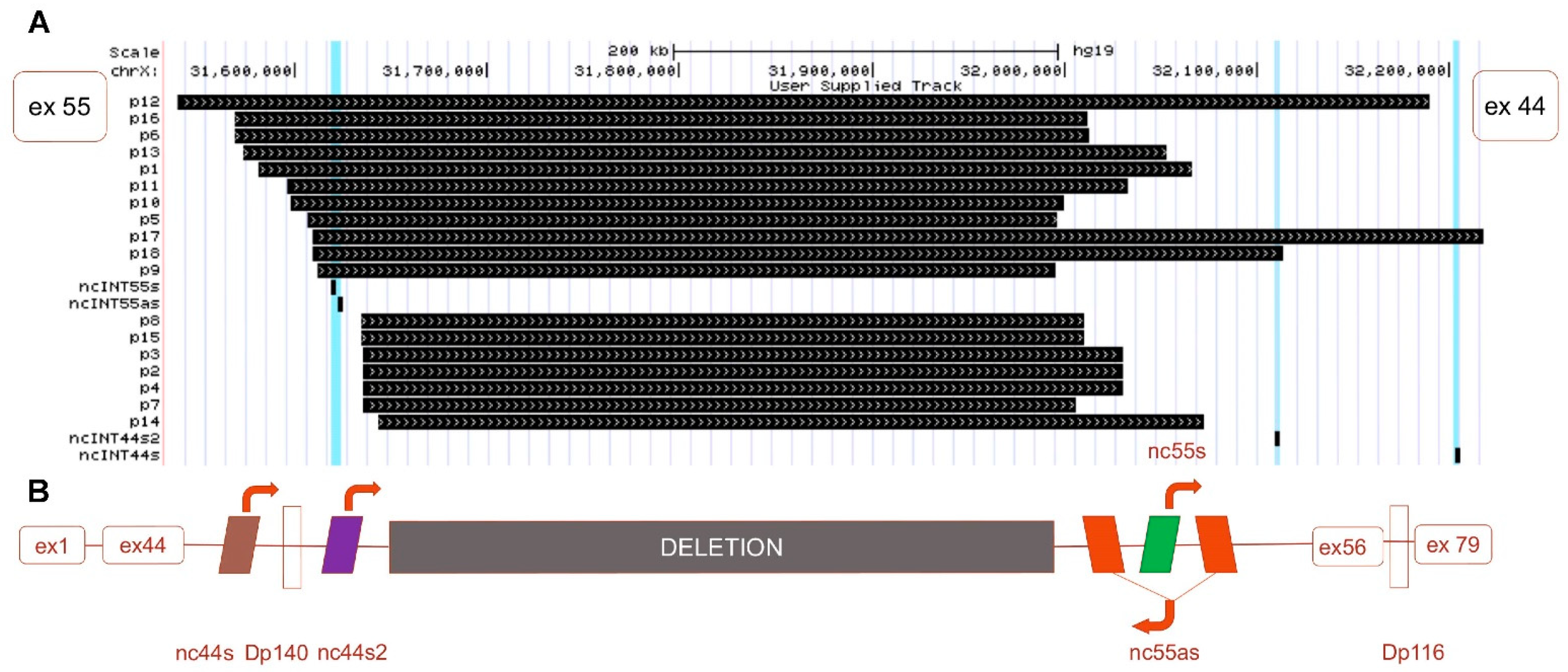 Biomedicines 09 00219 g001 Biomedicines 09 00219 g001