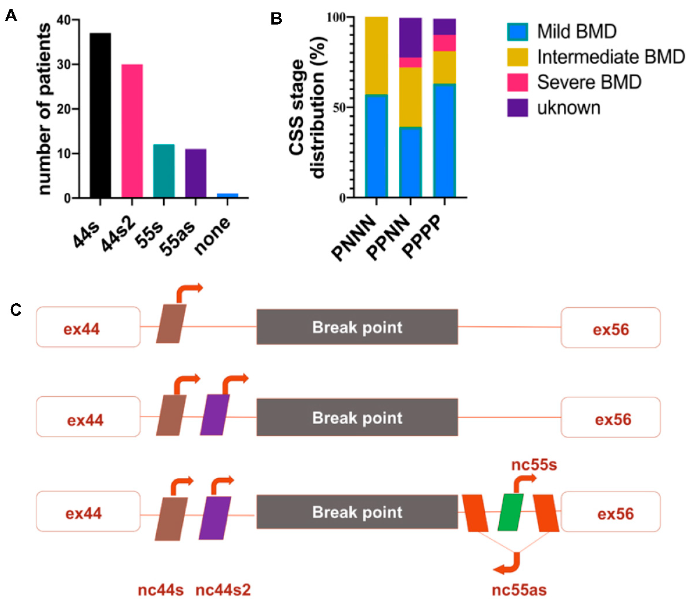 Biomedicines 09 00219 g002 Biomedicines 09 00219 g002