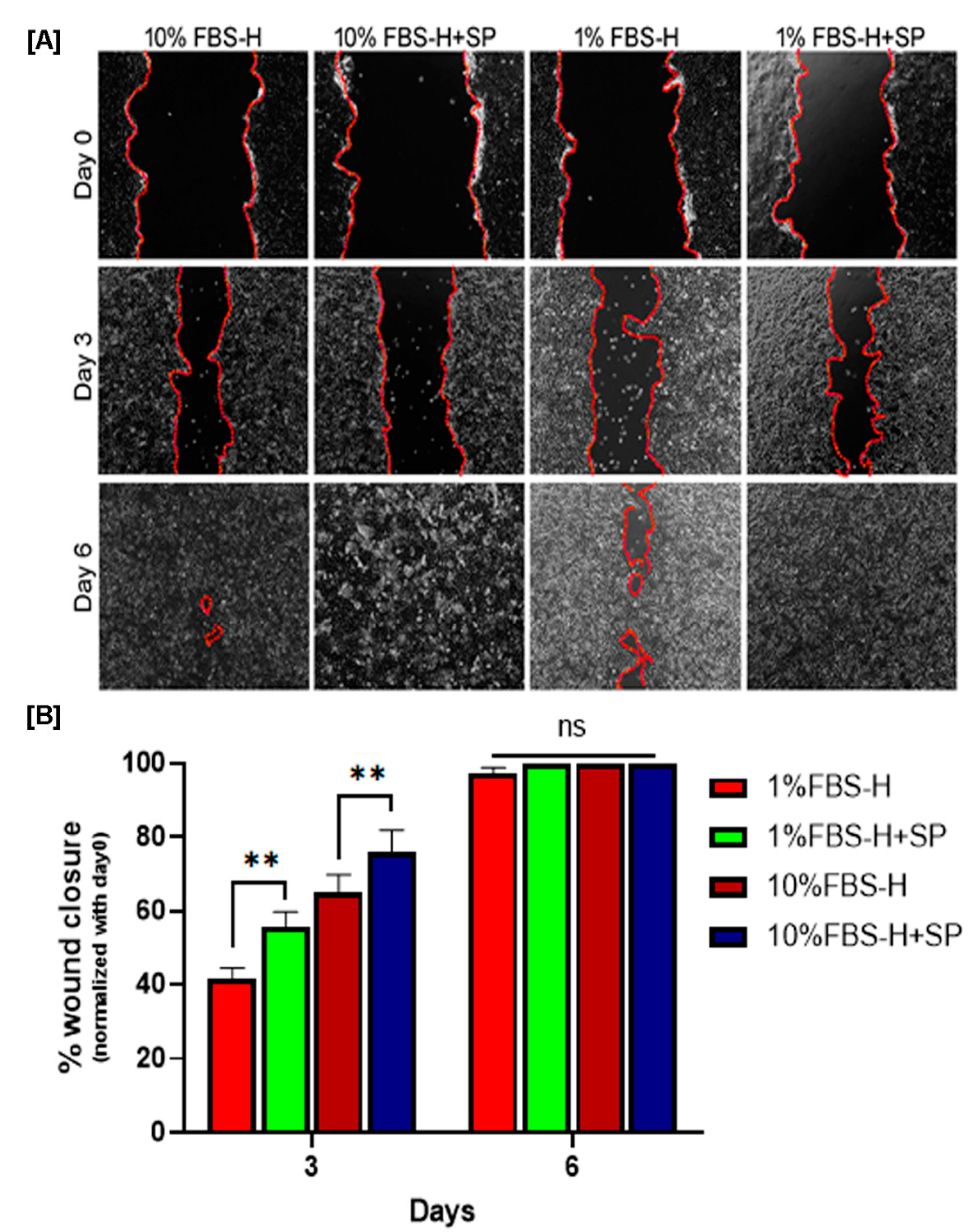 Biomedicines 09 00222 g003 Biomedicines 09 00222 g003