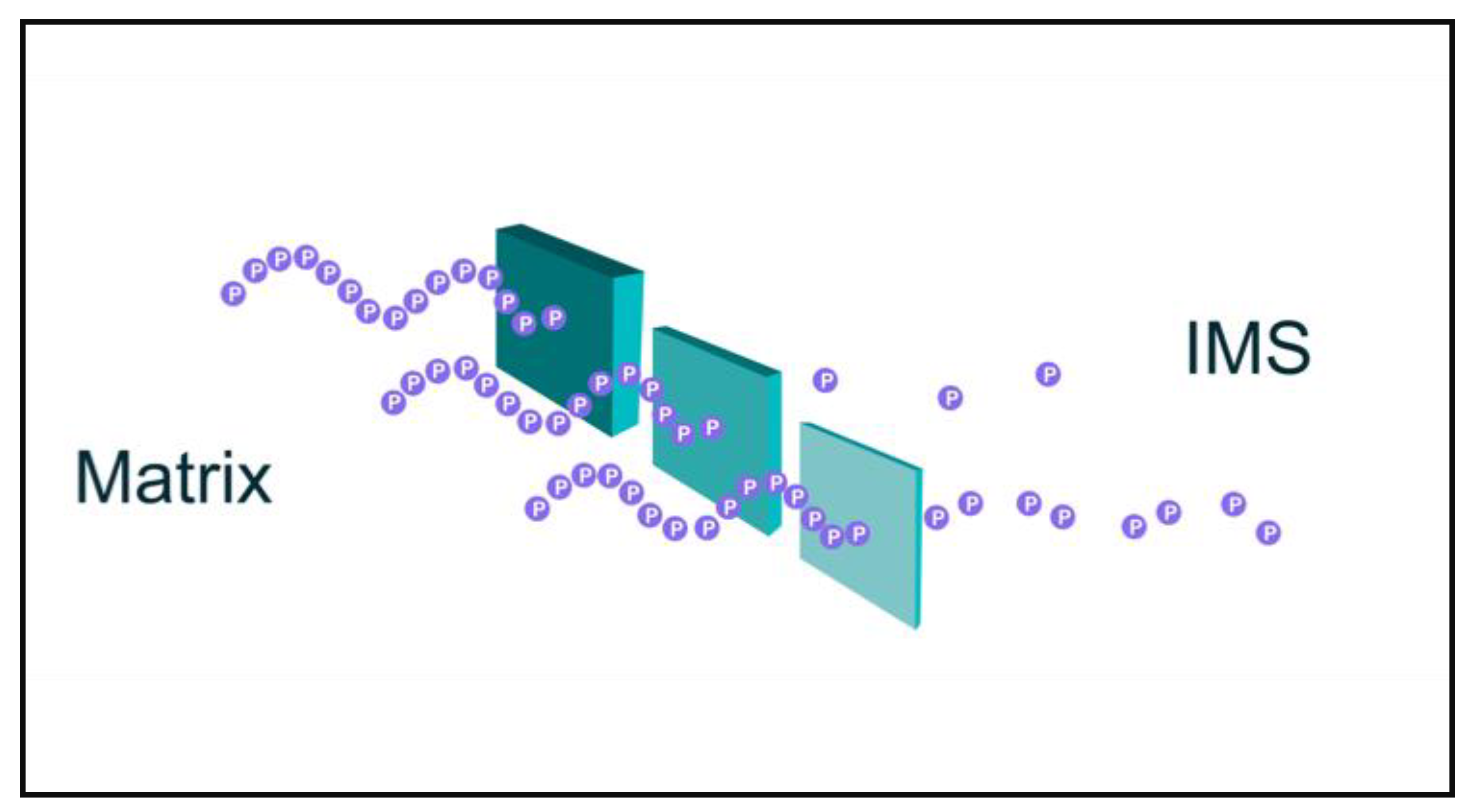 Biomedicines 09 00225 g001