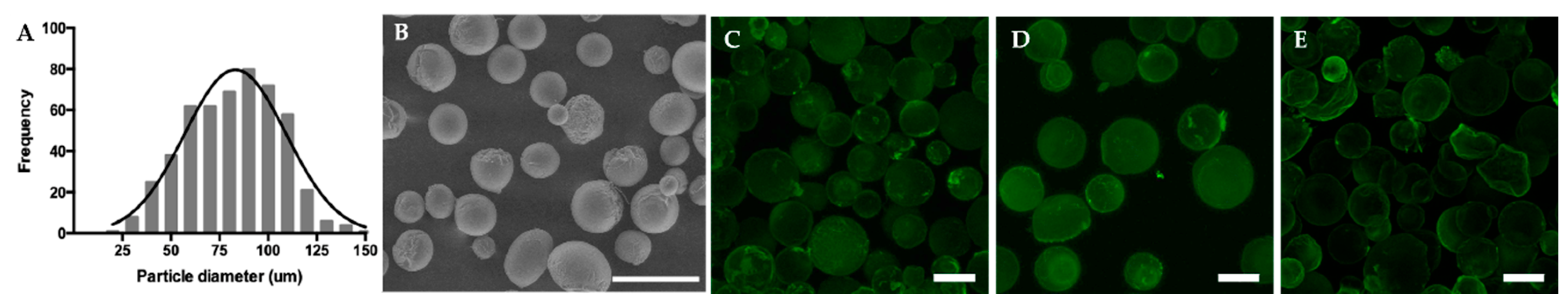 Biomedicines 09 00232 g001