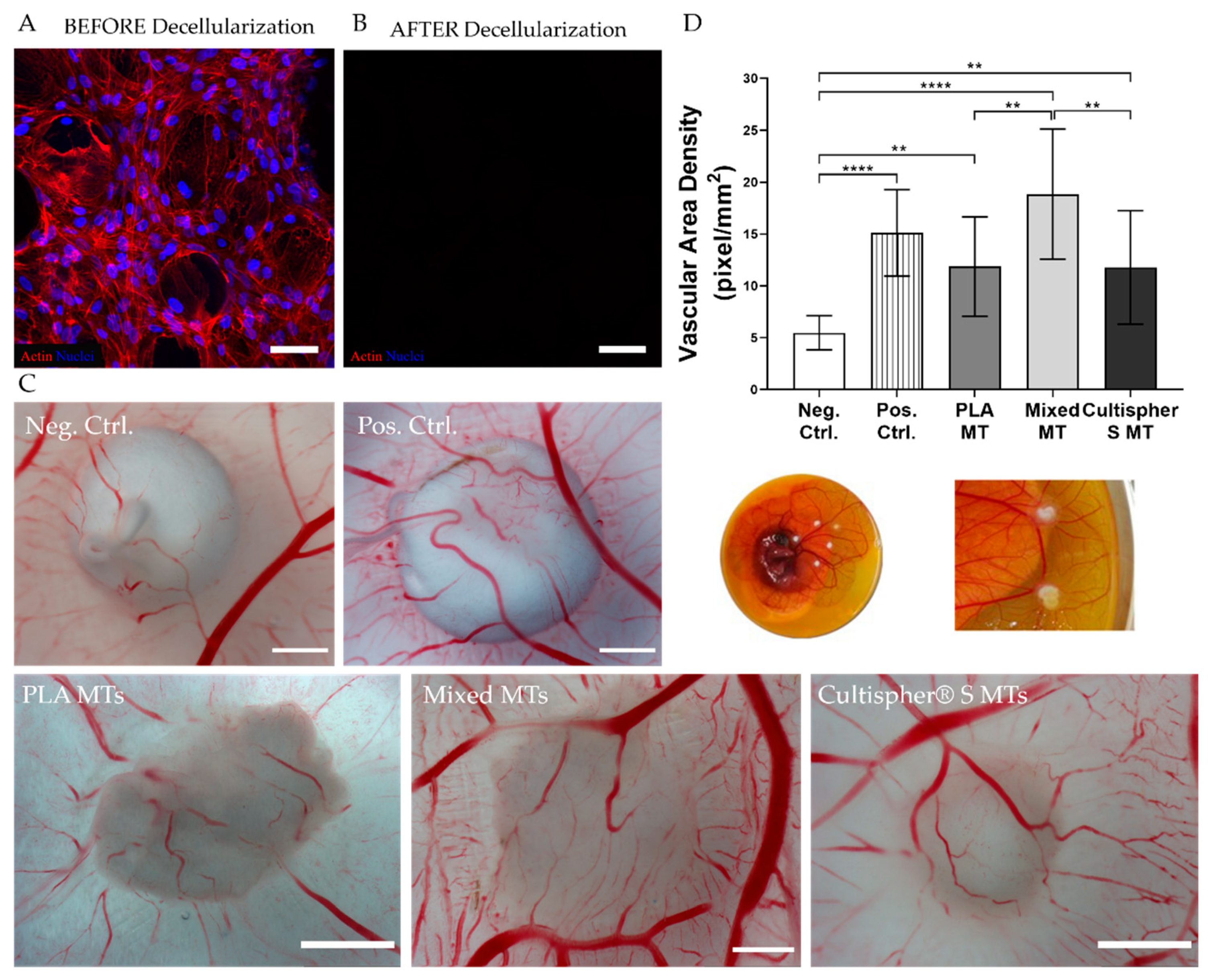 Biomedicines 09 00232 g007