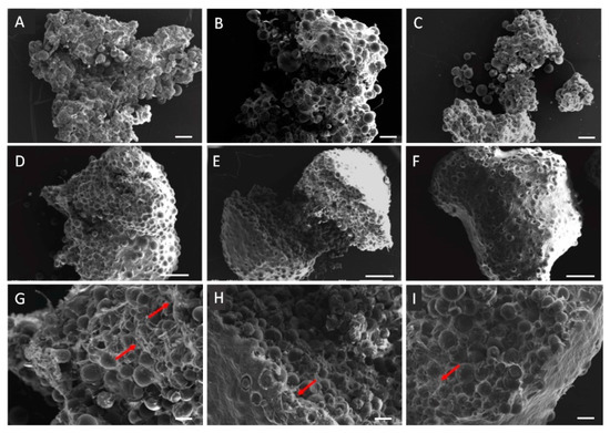 Biomedicines 09 00232 g0a1