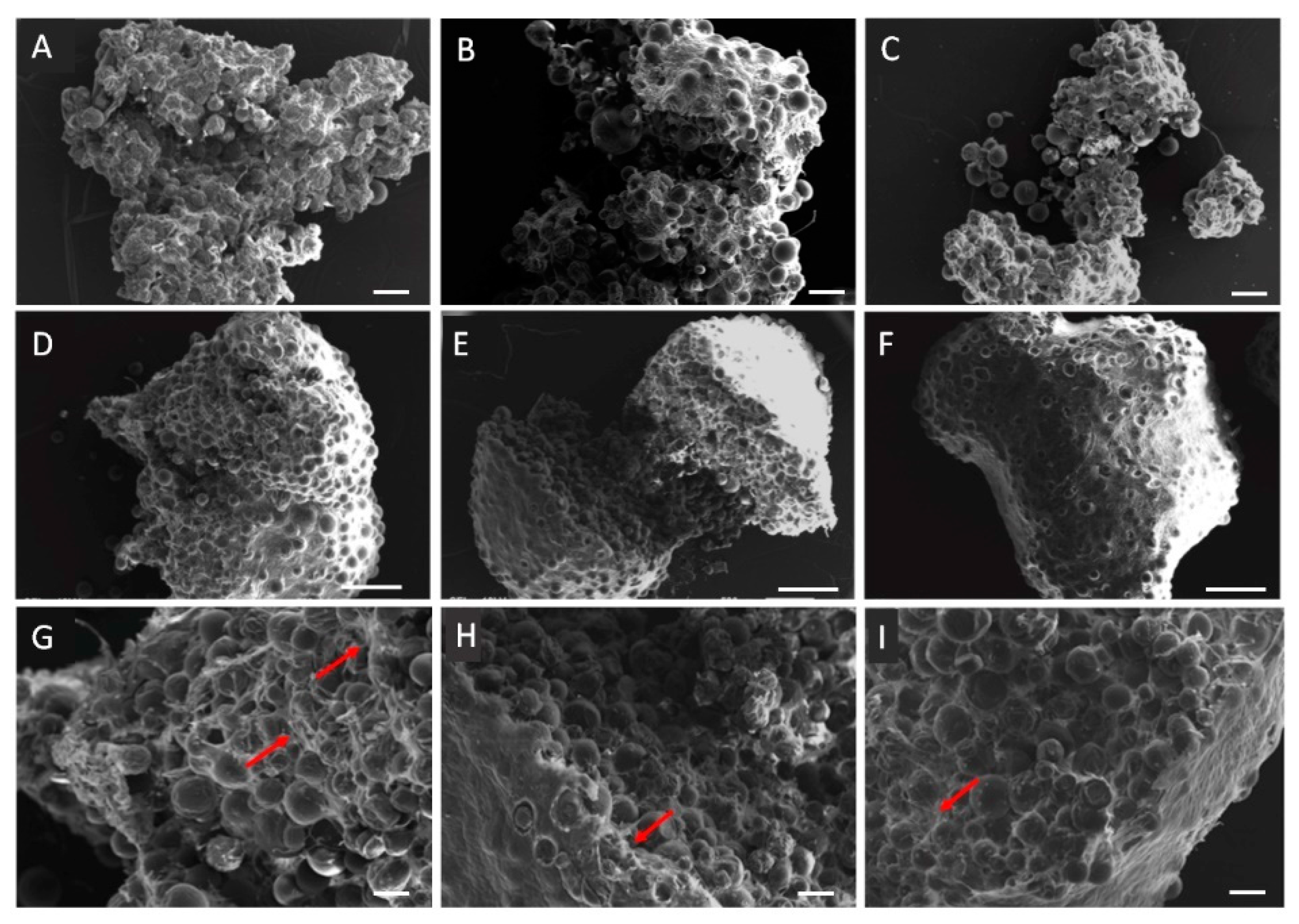 Biomedicines 09 00232 g0a1