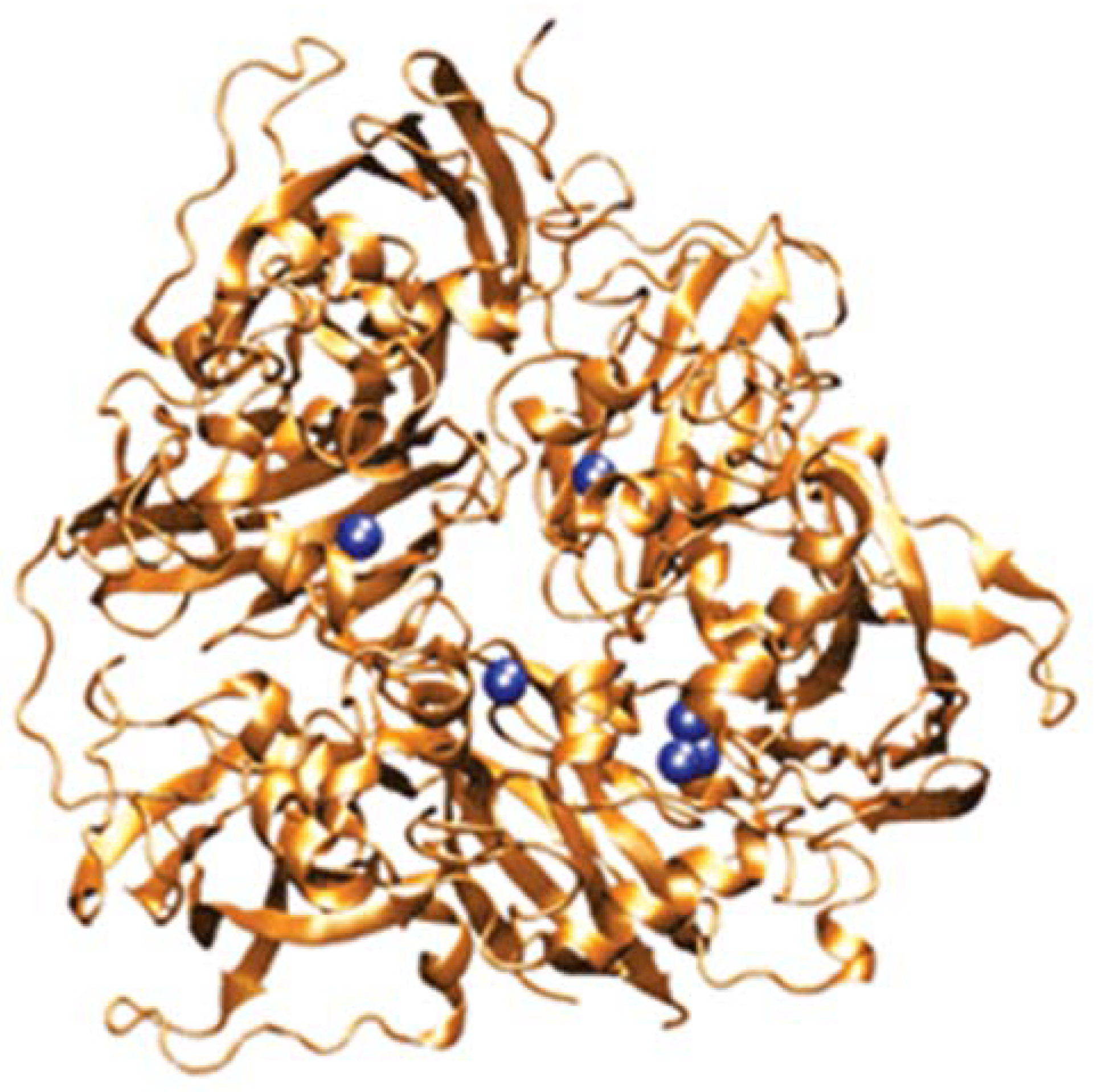 Biomedicines 09 00233 g001