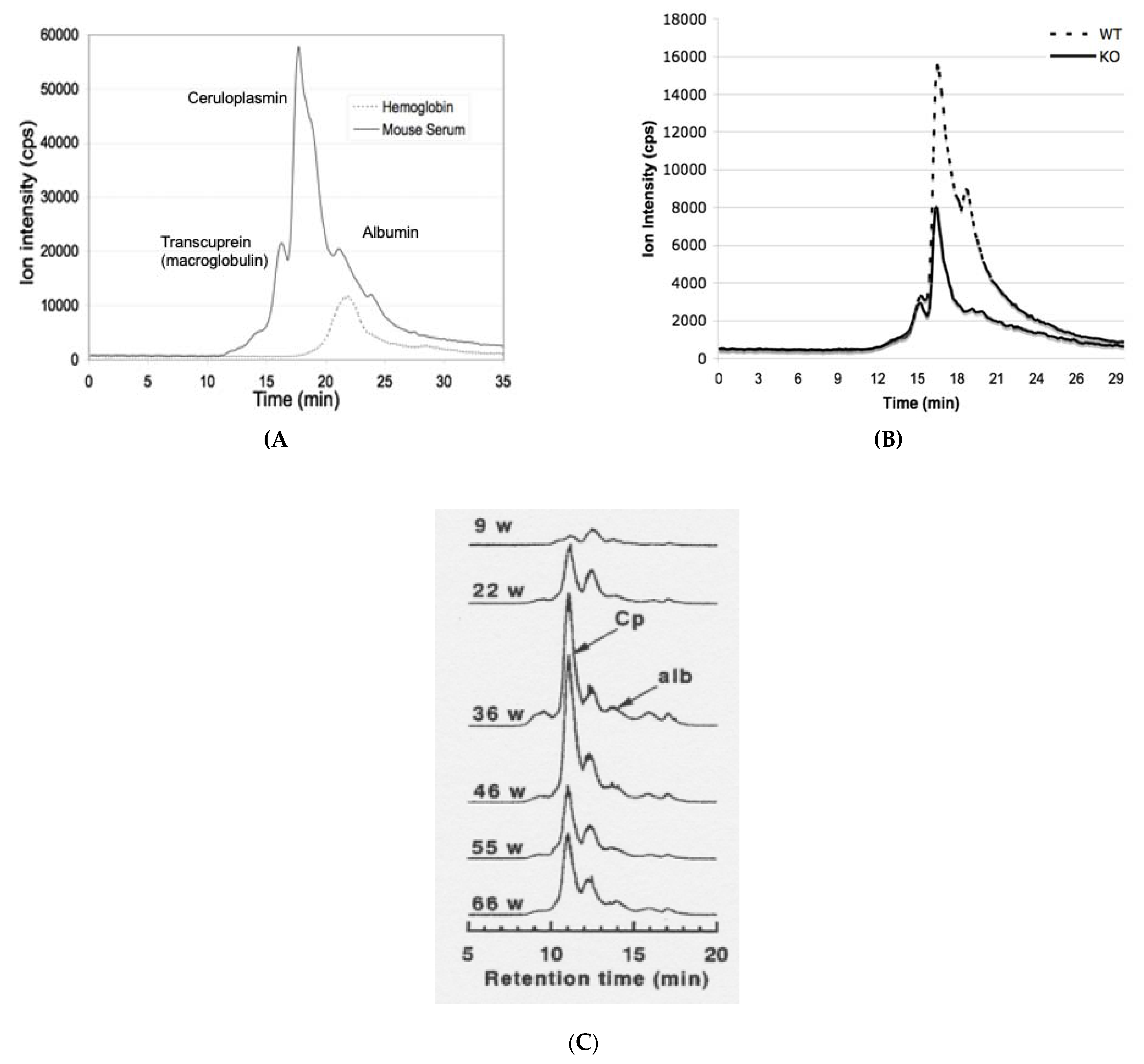 Biomedicines 09 00233 g002