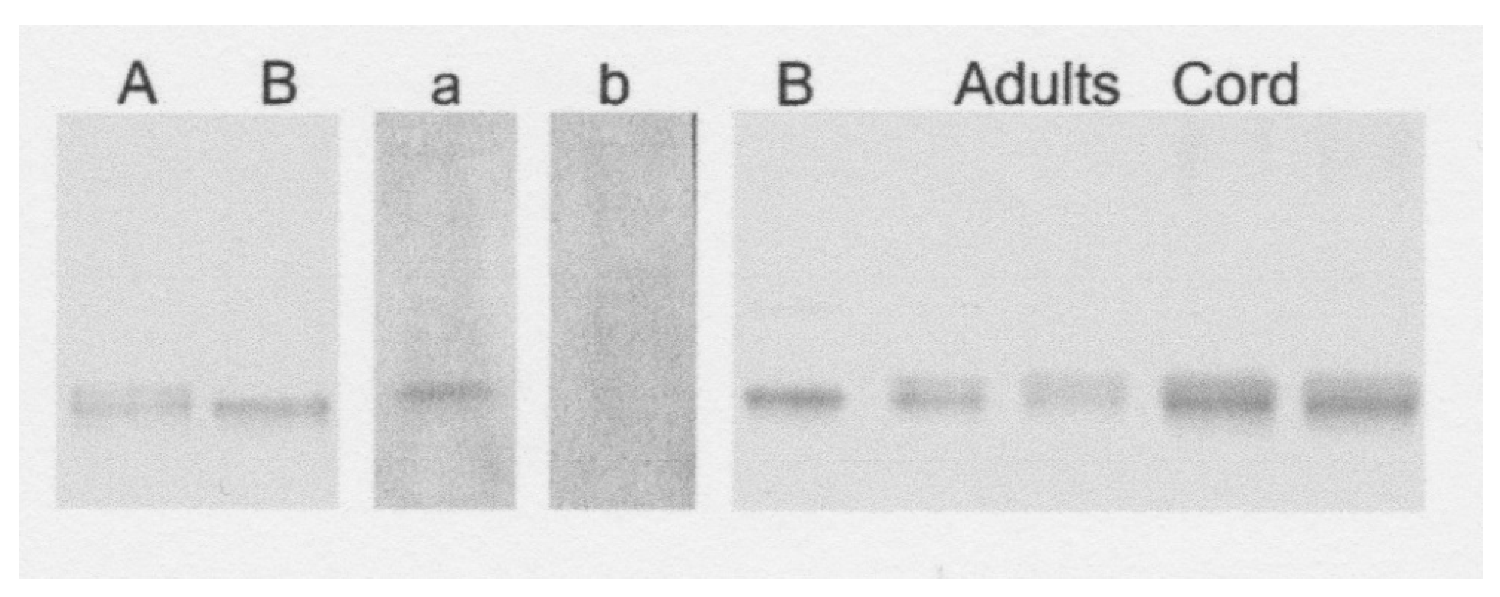 Biomedicines 09 00233 g005