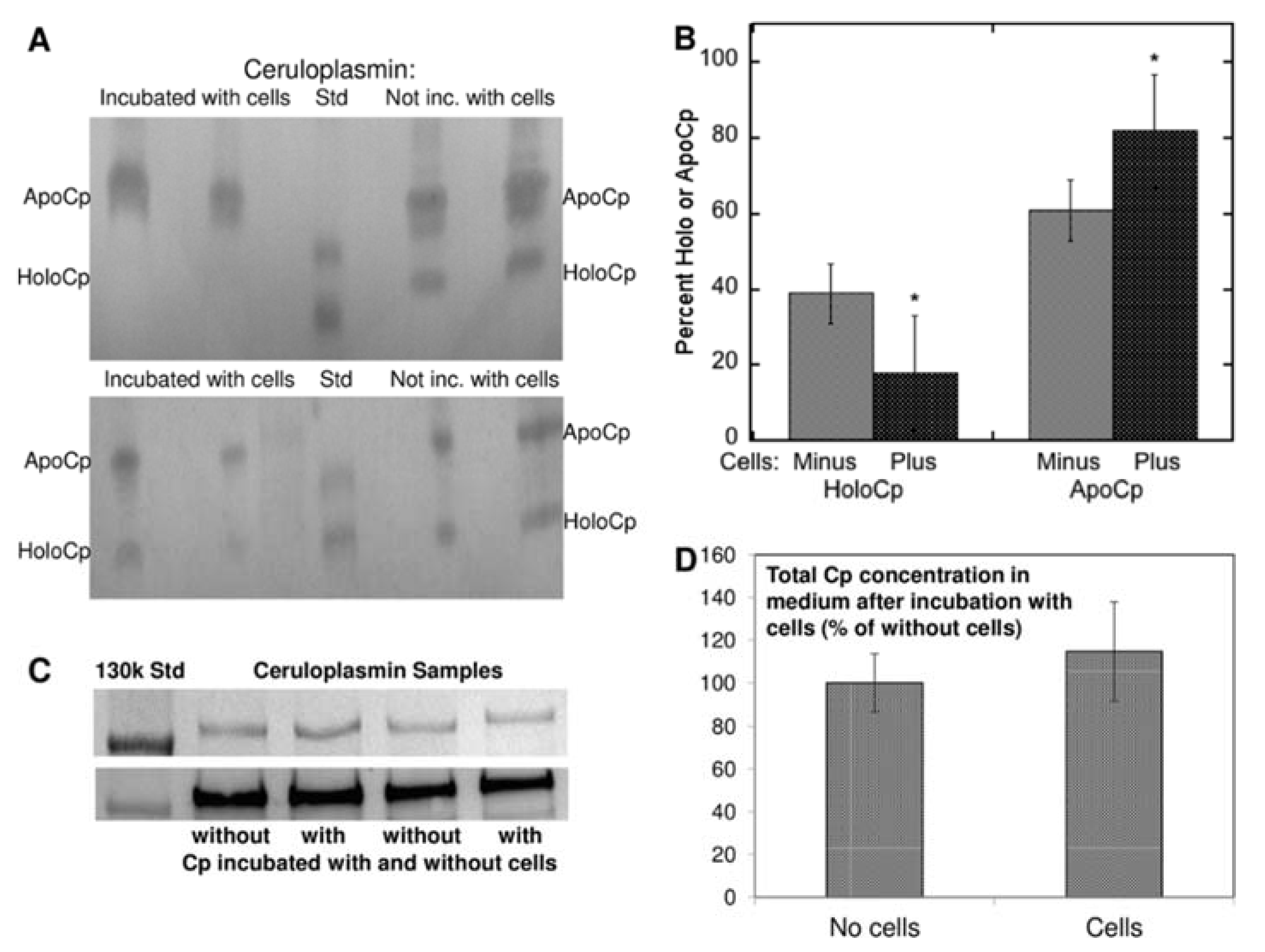 Biomedicines 09 00233 g006