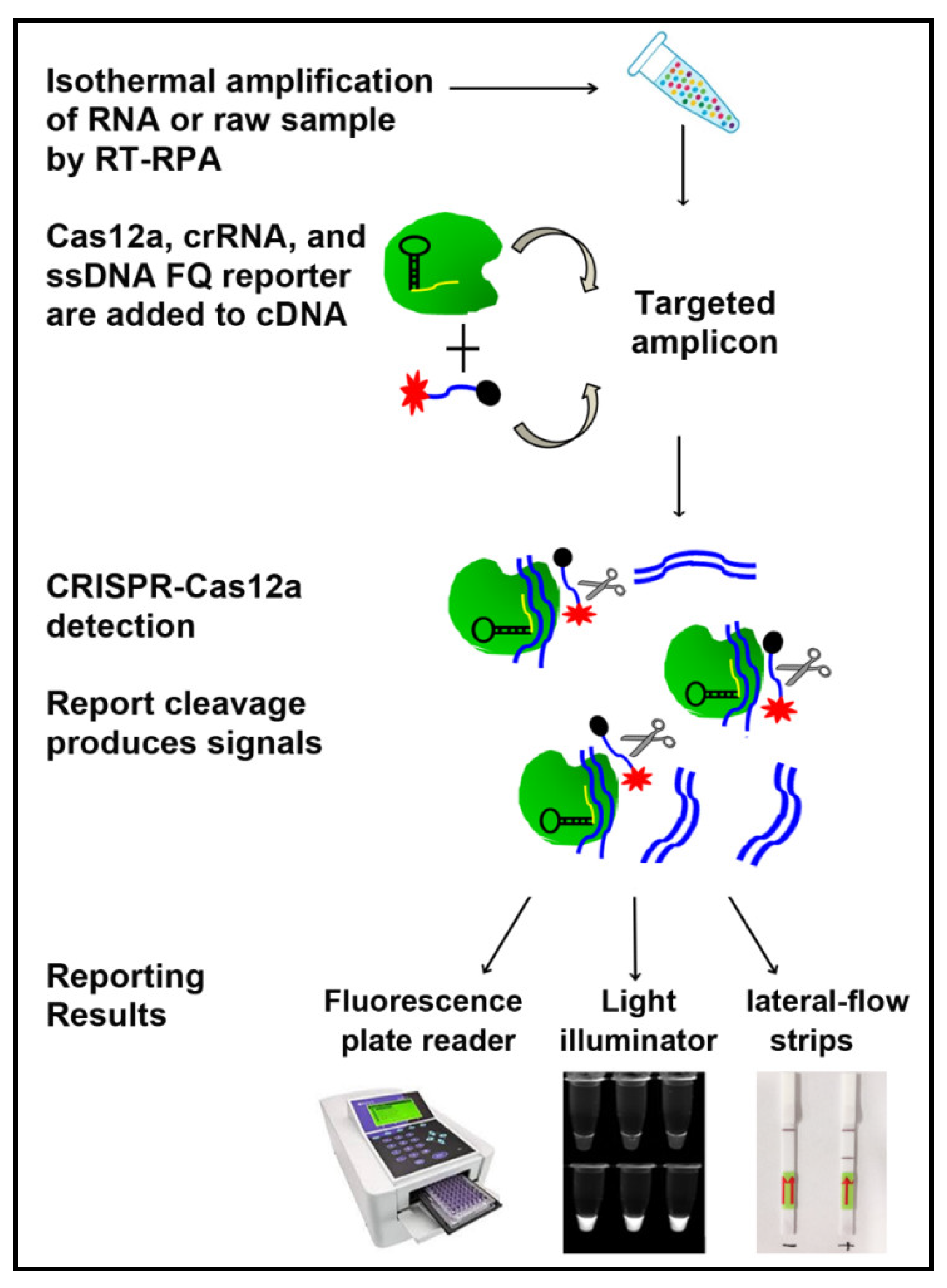 Biomedicines 09 00239 g002