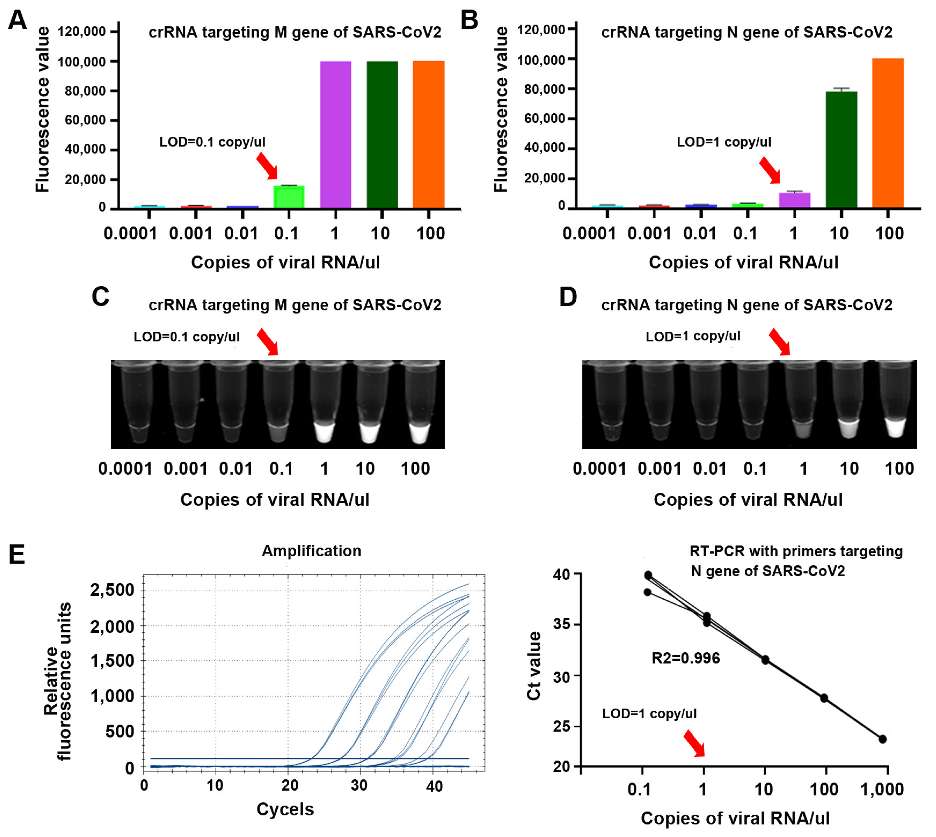 Biomedicines 09 00239 g004