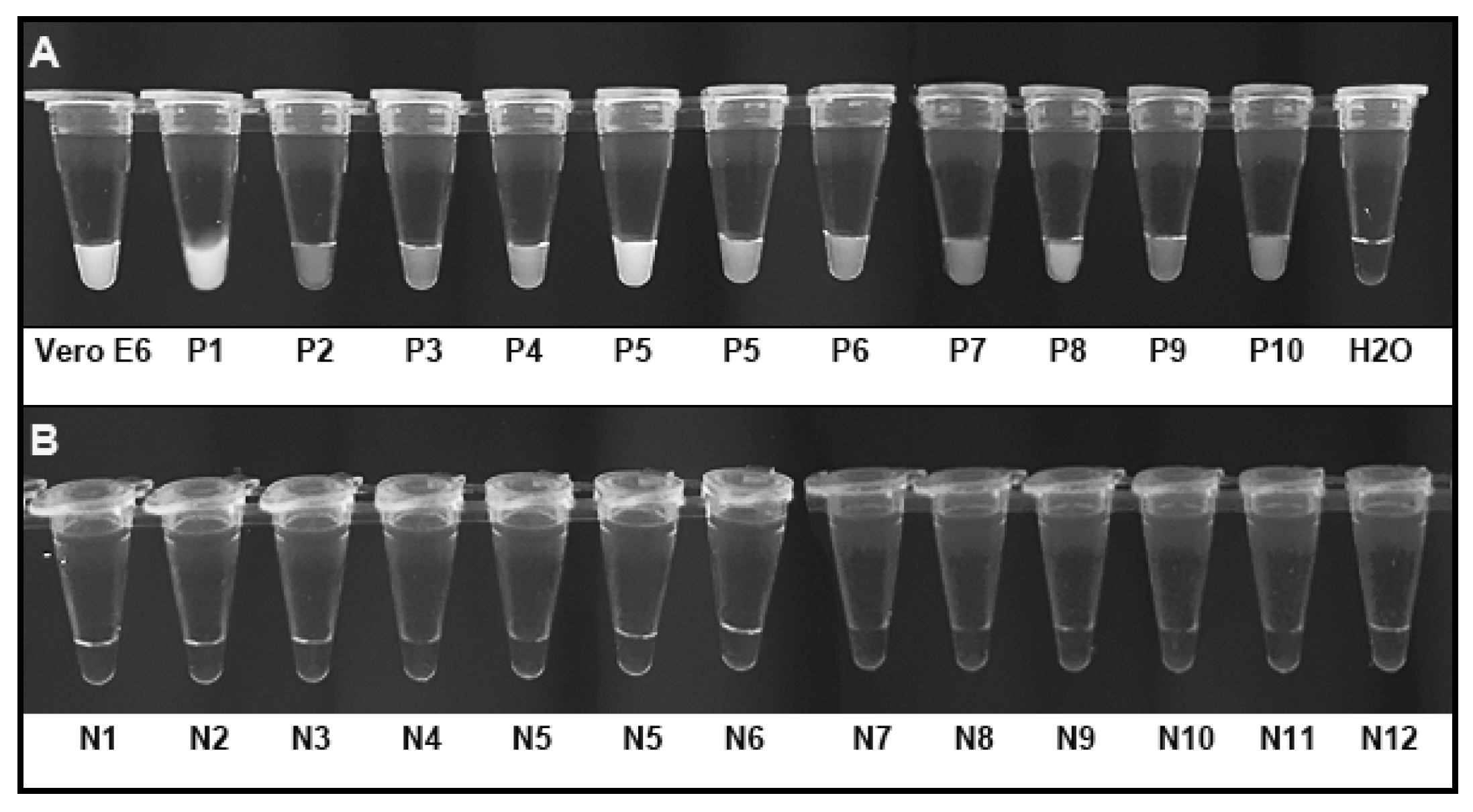 Biomedicines 09 00239 g007
