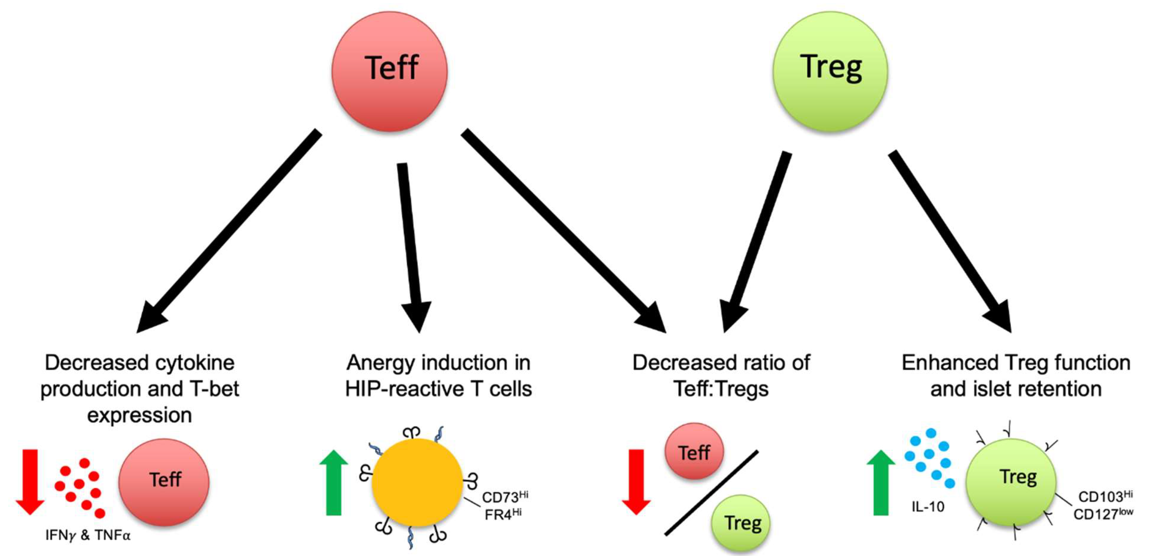 Biomedicines 09 00240 g001