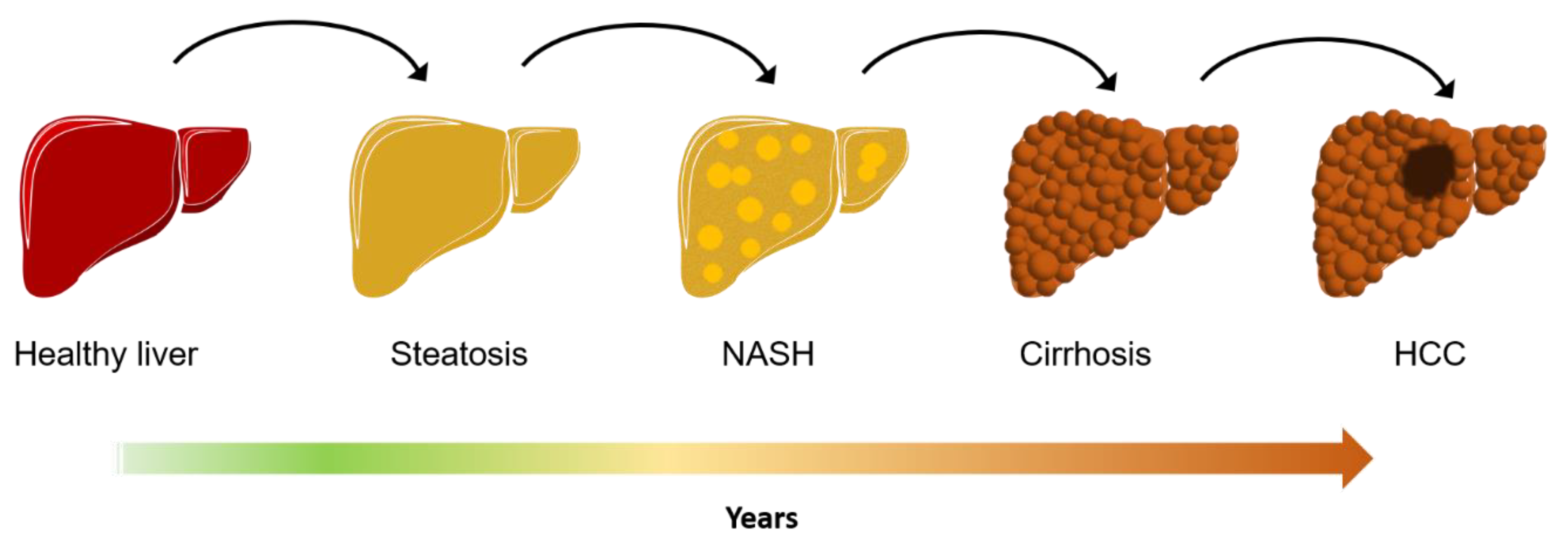 Biomedicines 09 00248 g001 Biomedicines 09 00248 g001