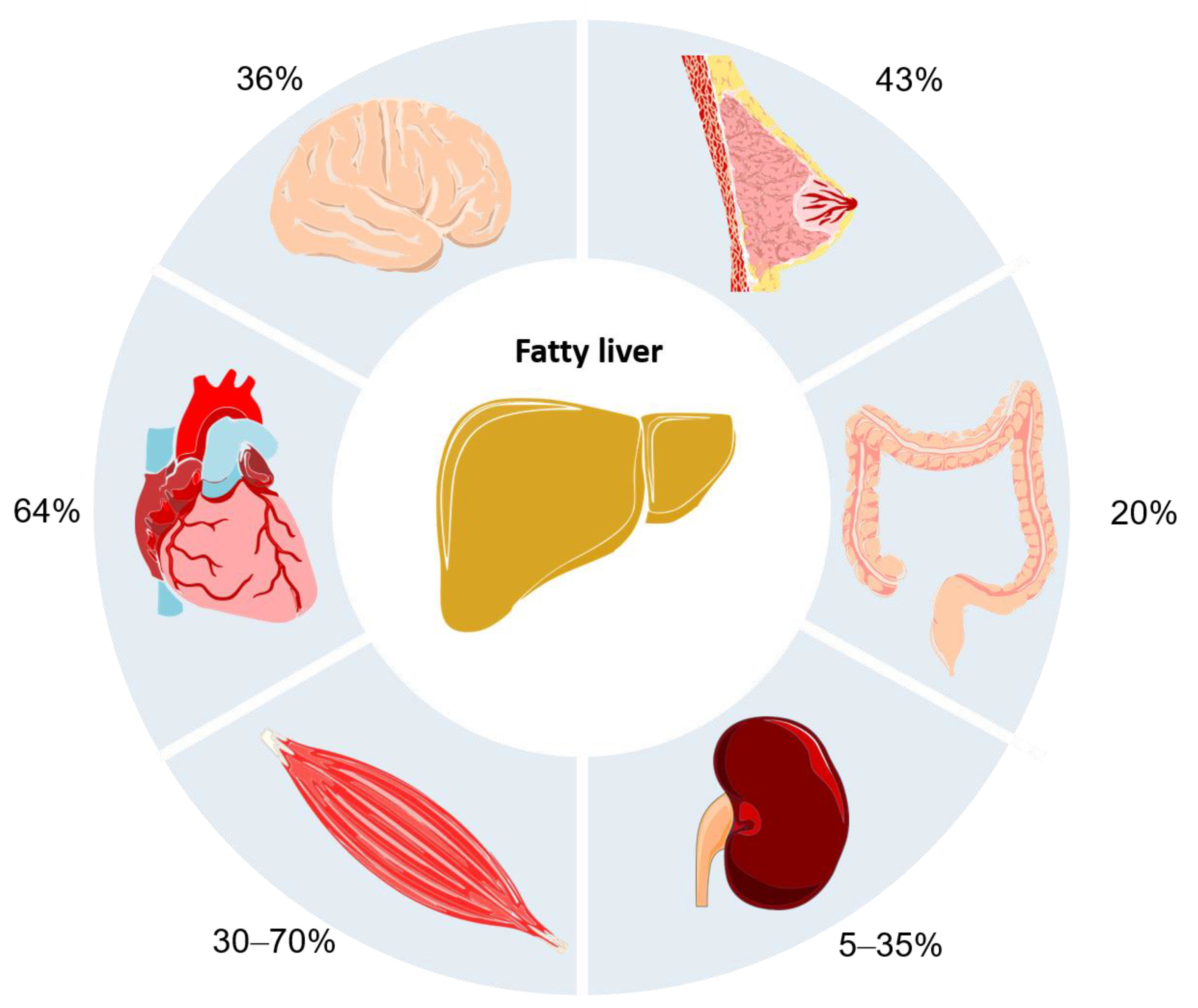 Biomedicines 09 00248 g002 Biomedicines 09 00248 g002