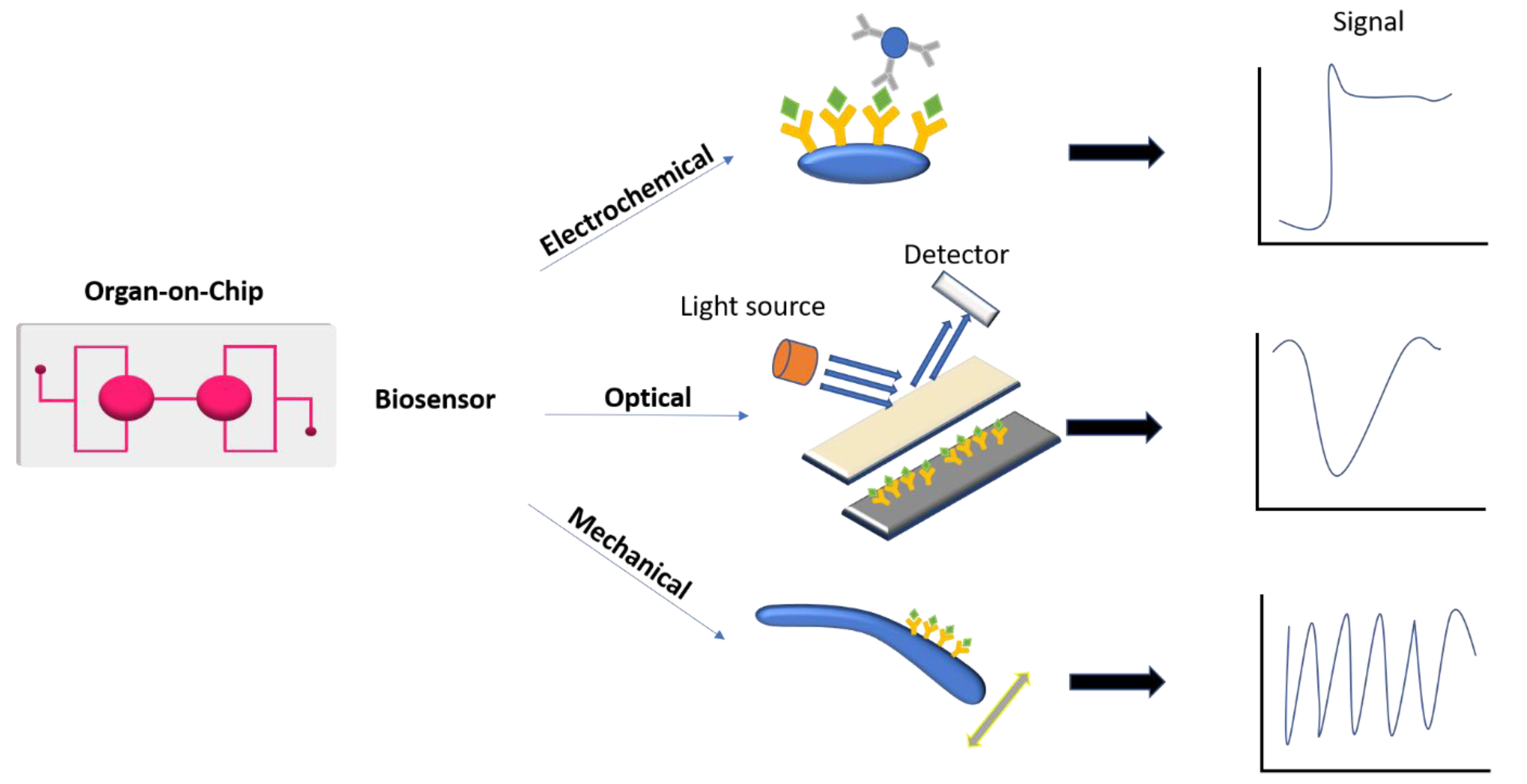 Biomedicines 09 00248 g004 Biomedicines 09 00248 g004