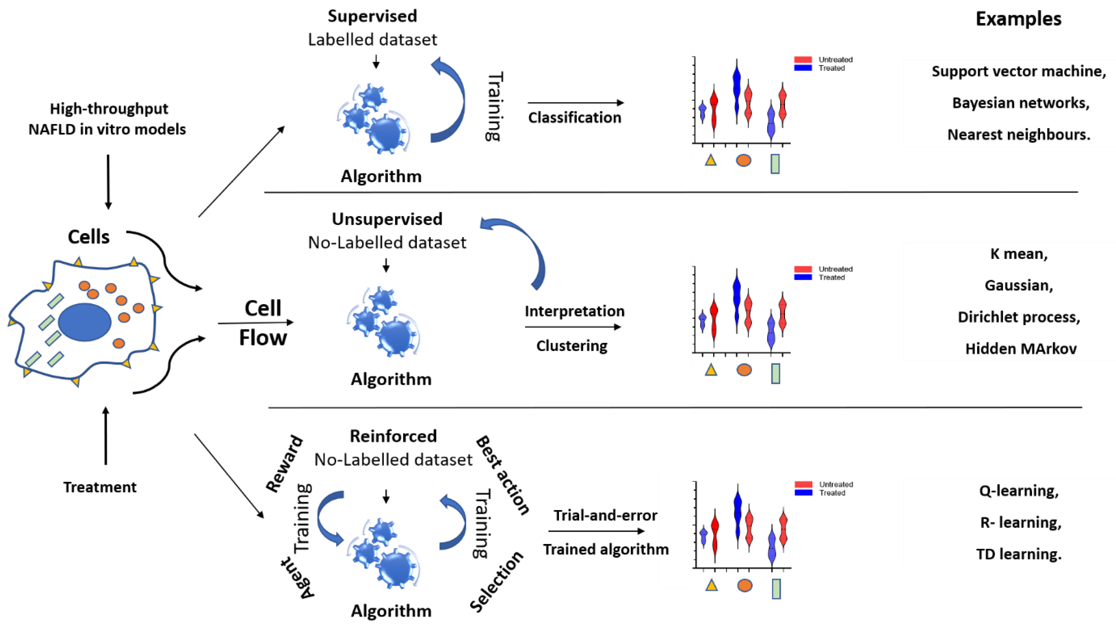 Biomedicines 09 00248 g006 Biomedicines 09 00248 g006