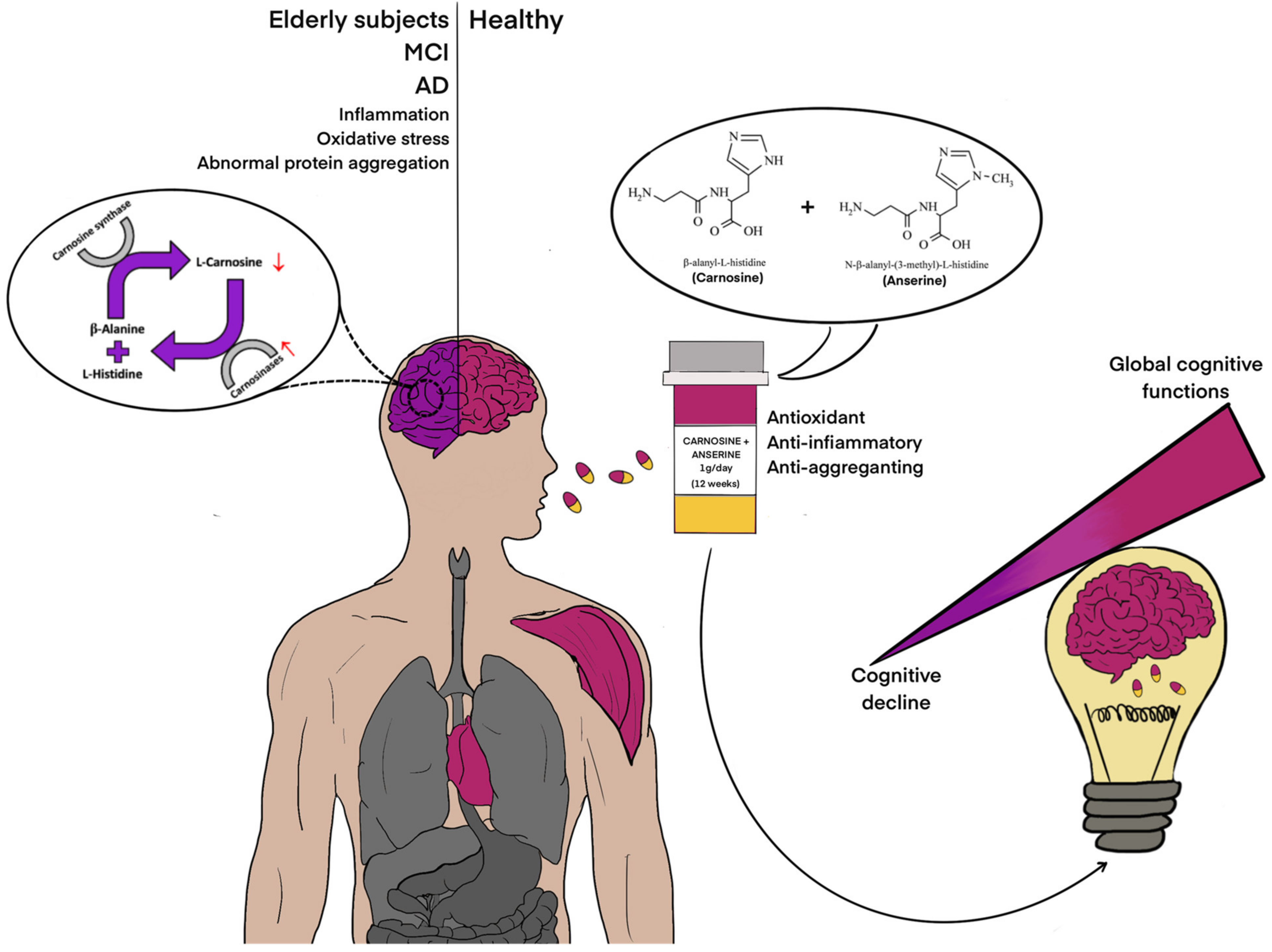 Biomedicines 09 00253 g006