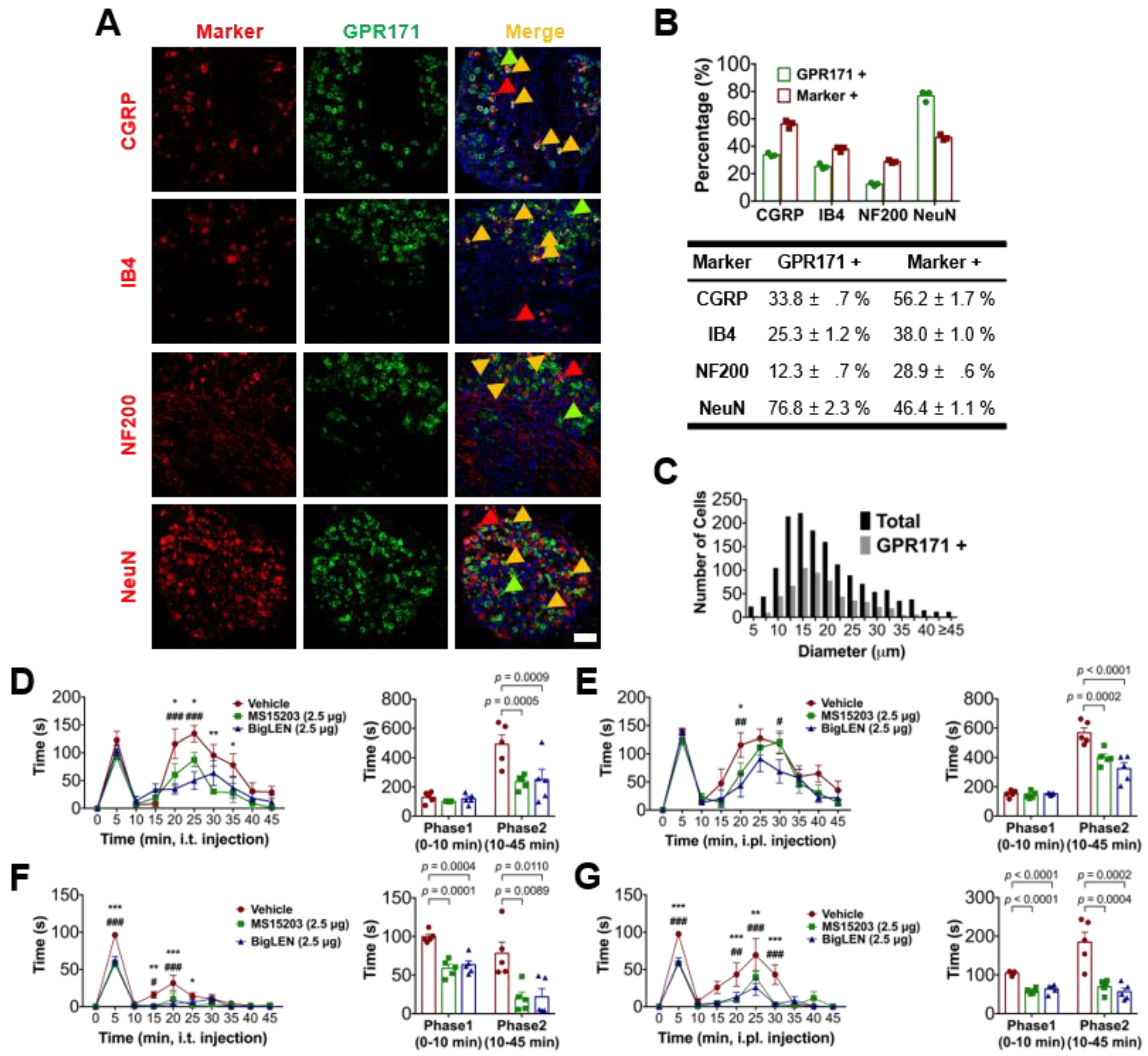 Biomedicines 09 00256 g001