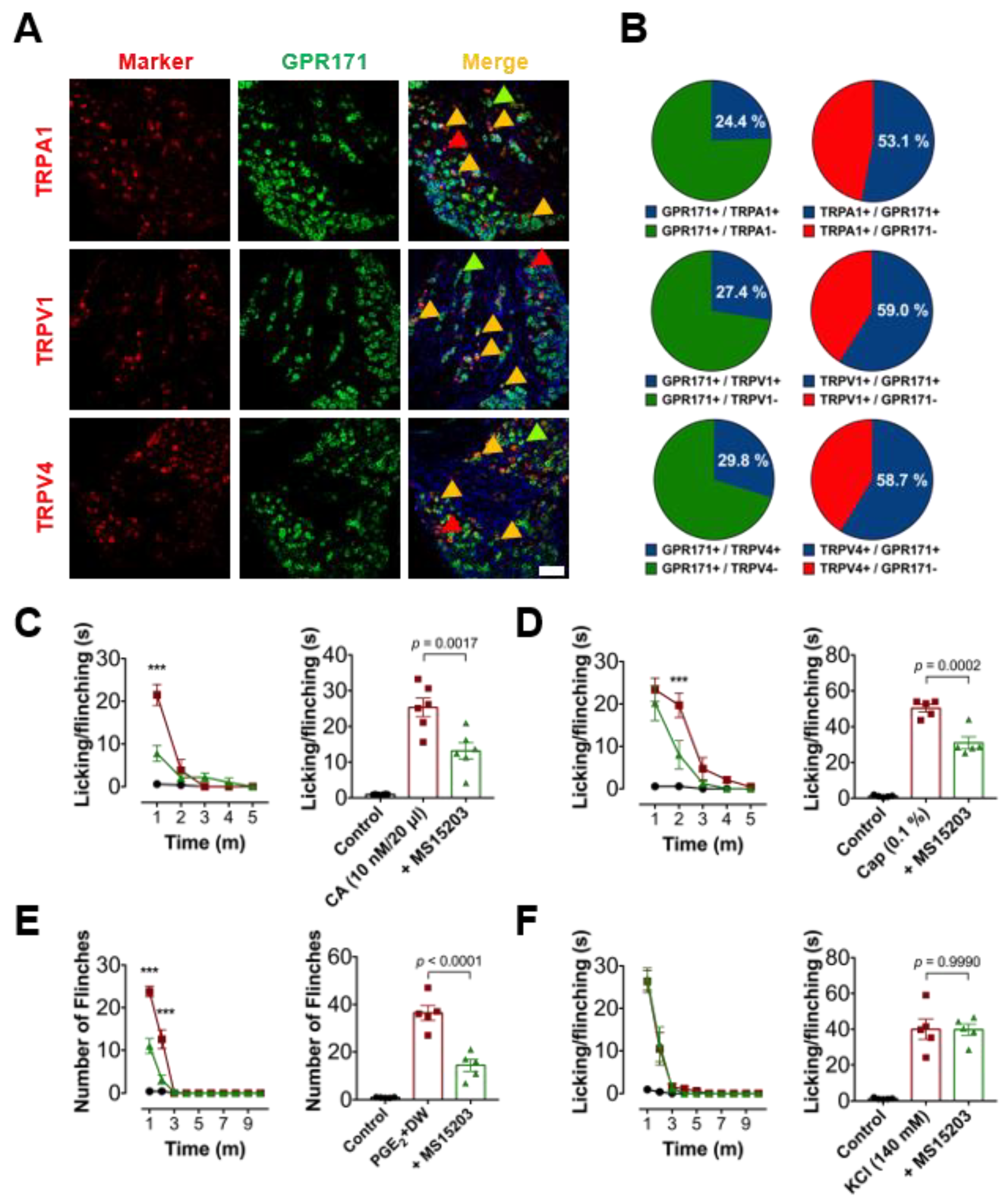 Biomedicines 09 00256 g002