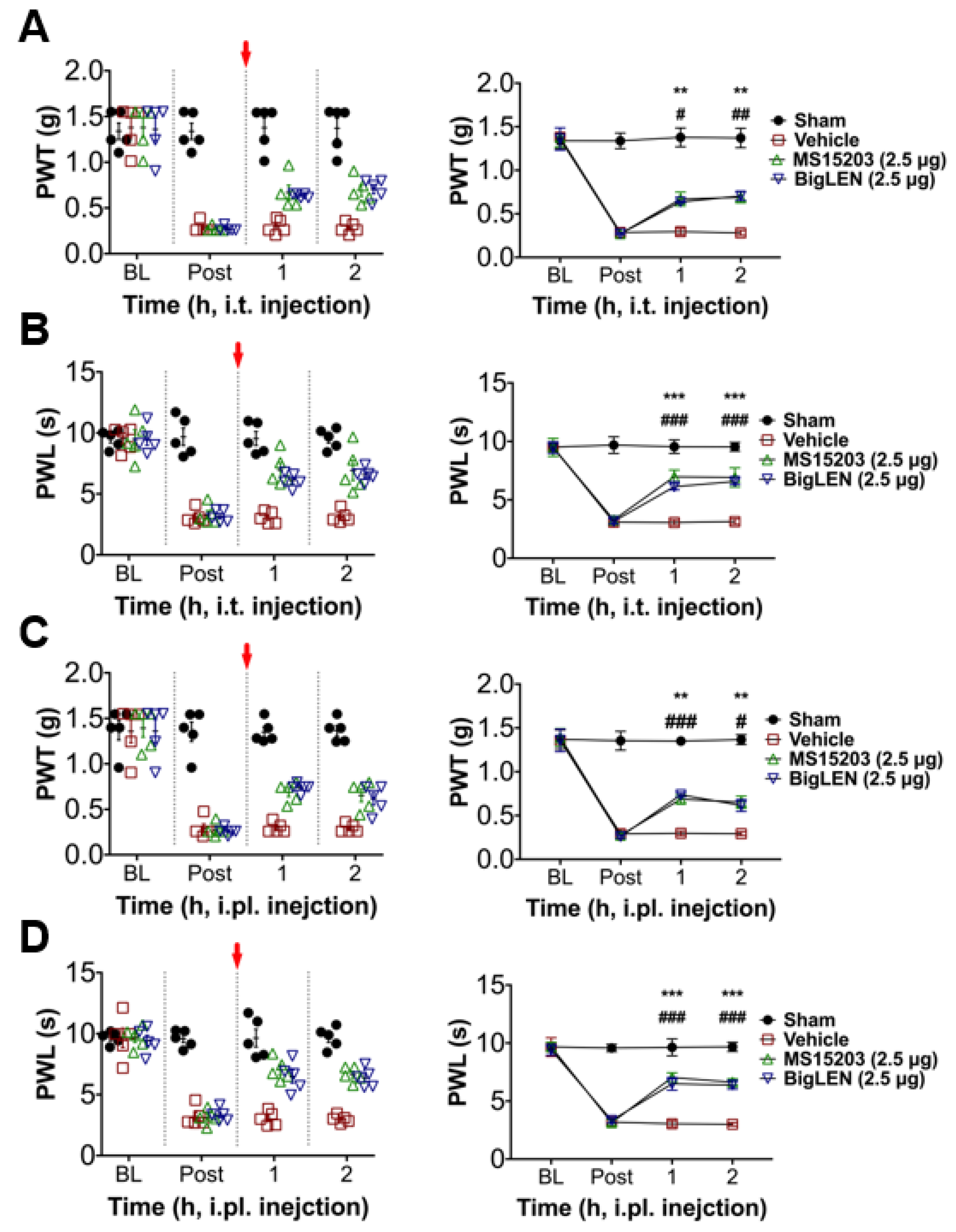 Biomedicines 09 00256 g006
