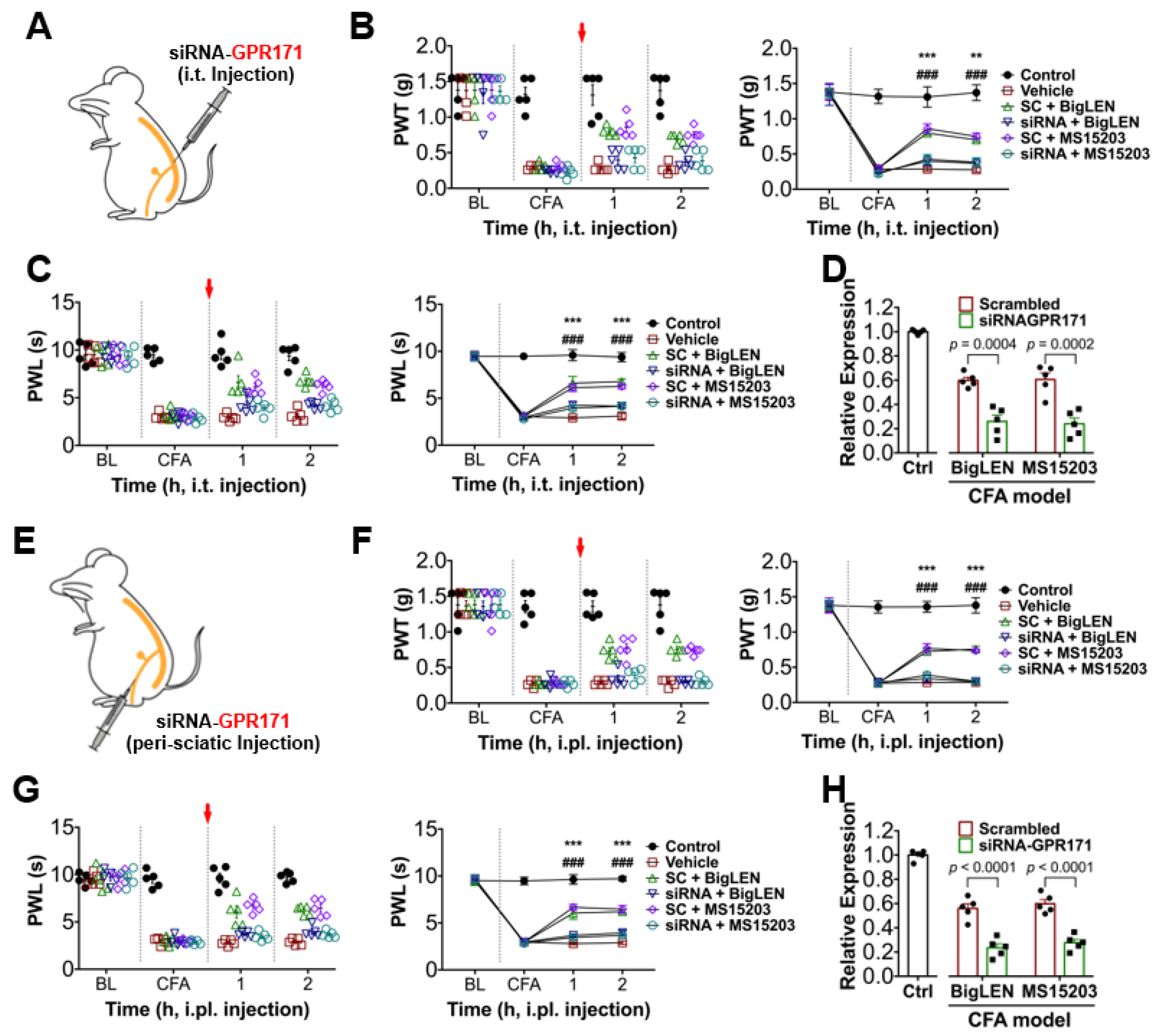 Biomedicines 09 00256 g007